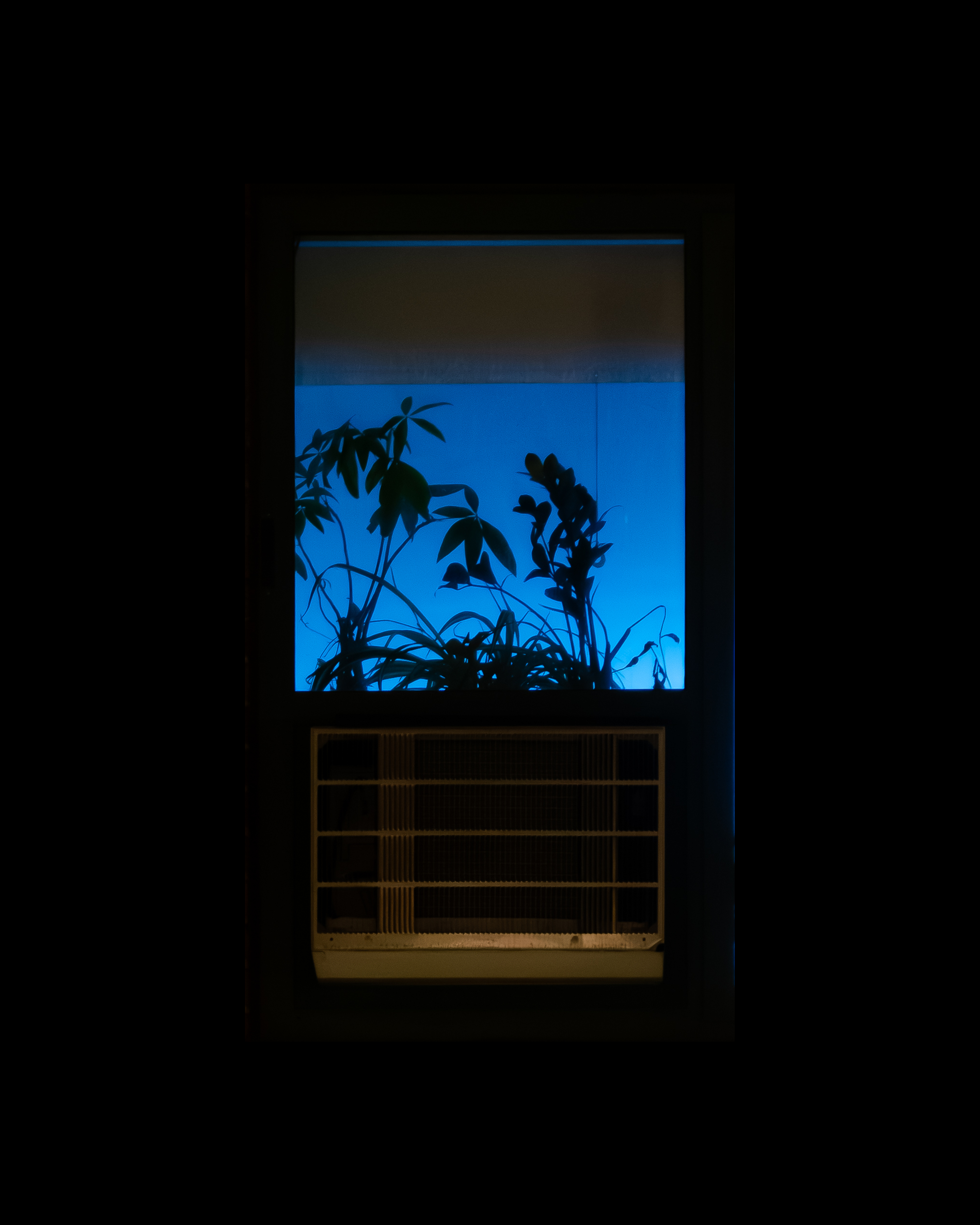 WINDOW 415