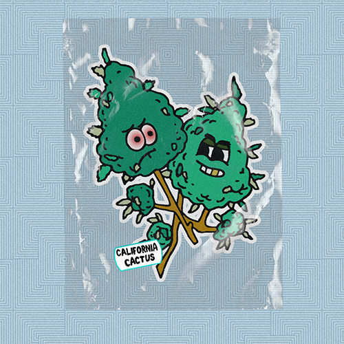 BestBuds#277