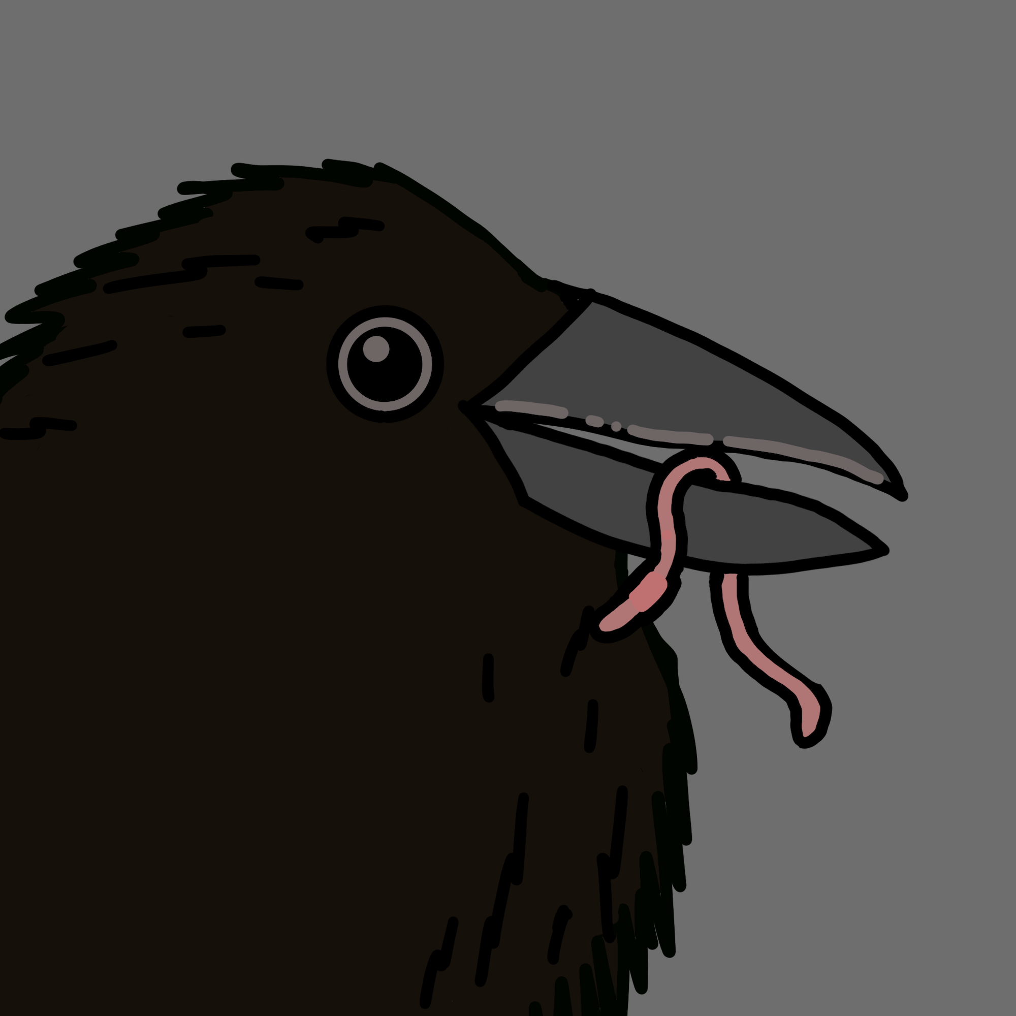 Crow Friends #996