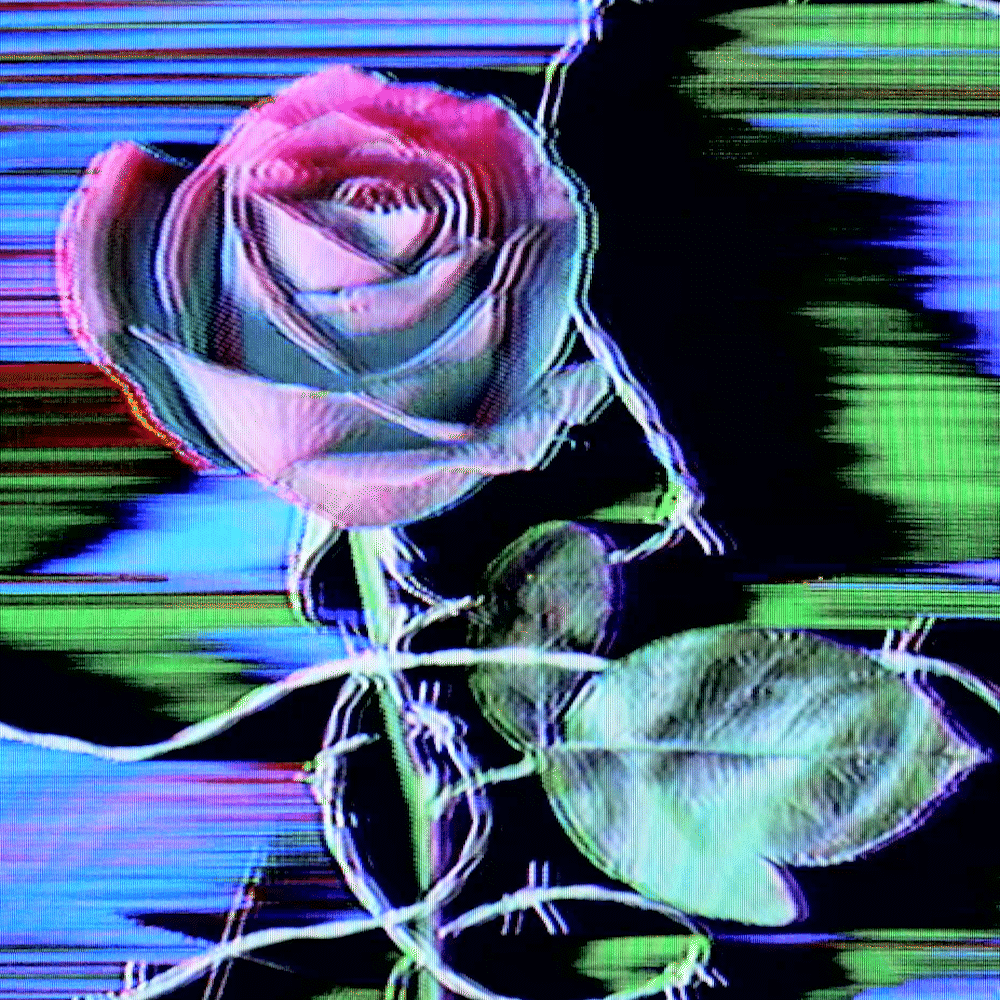 Flower #42
