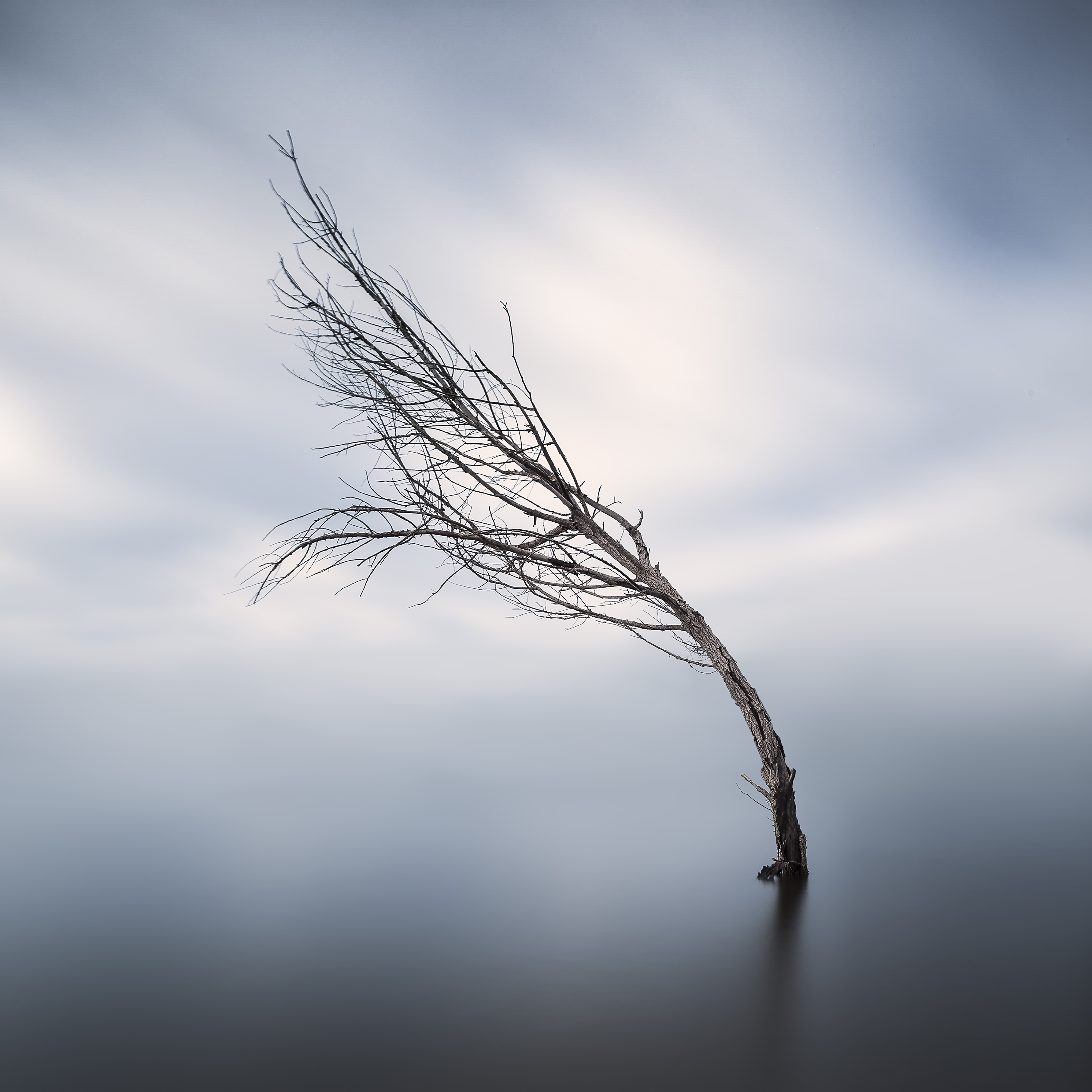 Alone