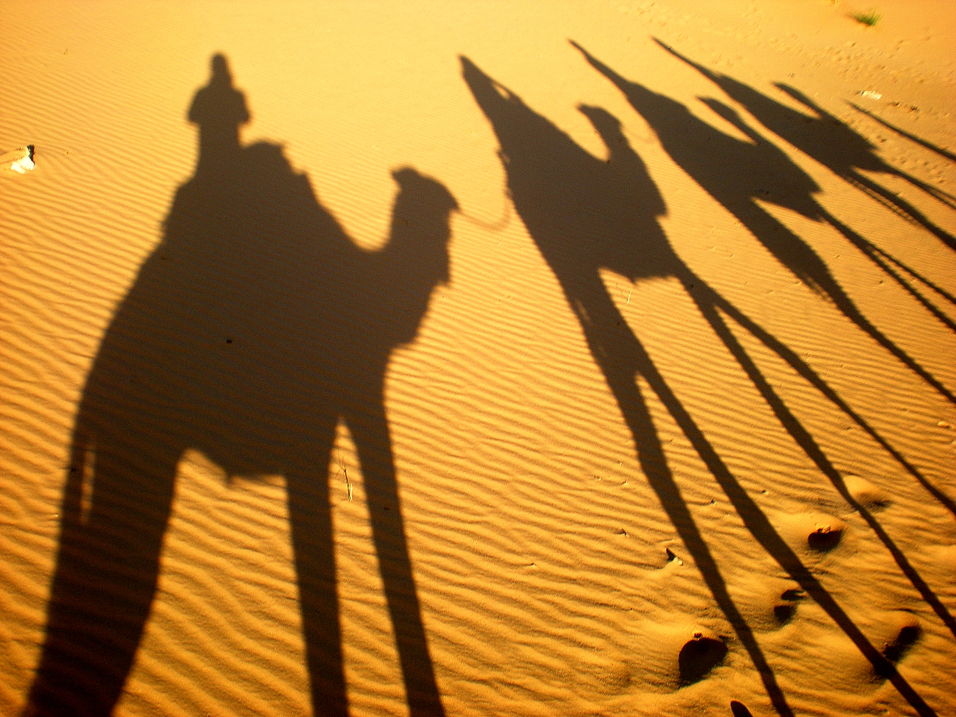 Camel caravan
