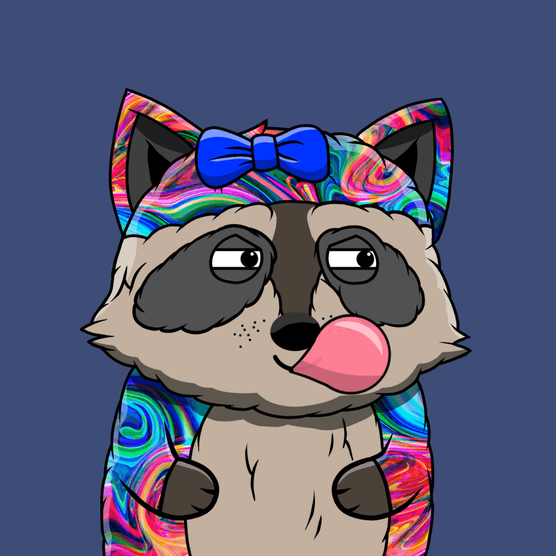 Raccoon #438
