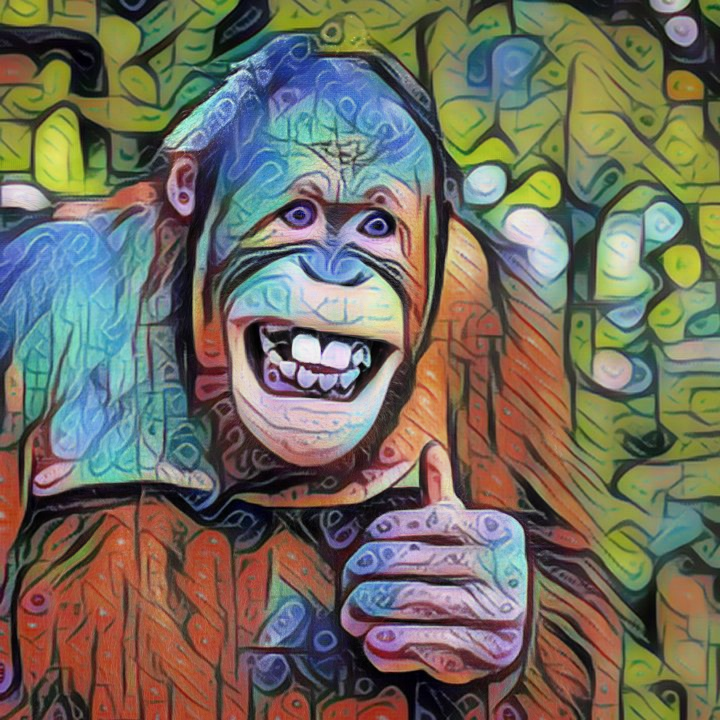 Orangutan