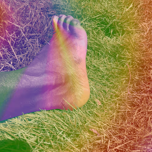 Foot Touch Grass [Holographic]