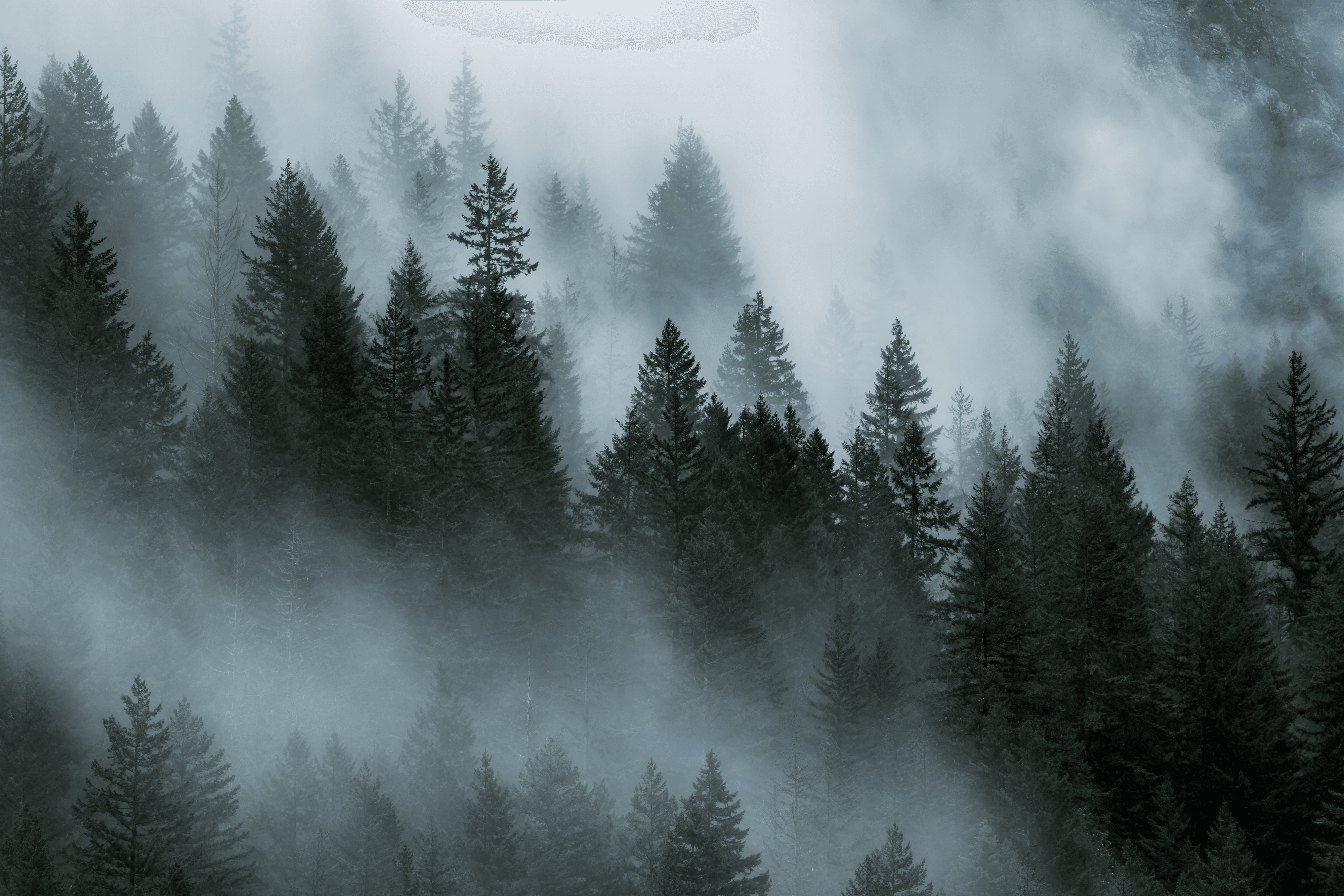 Cascade Clouds