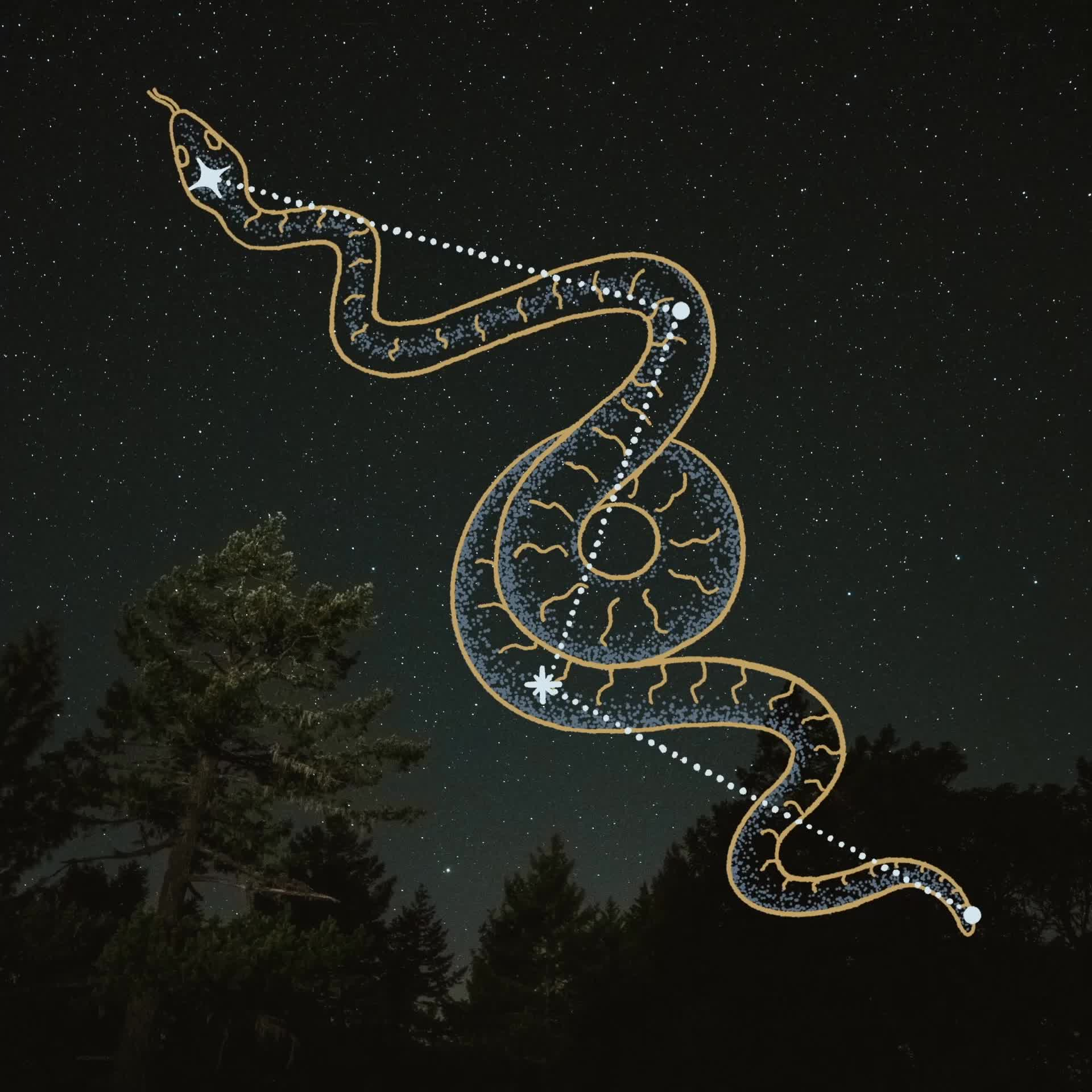 Serpent #45/140