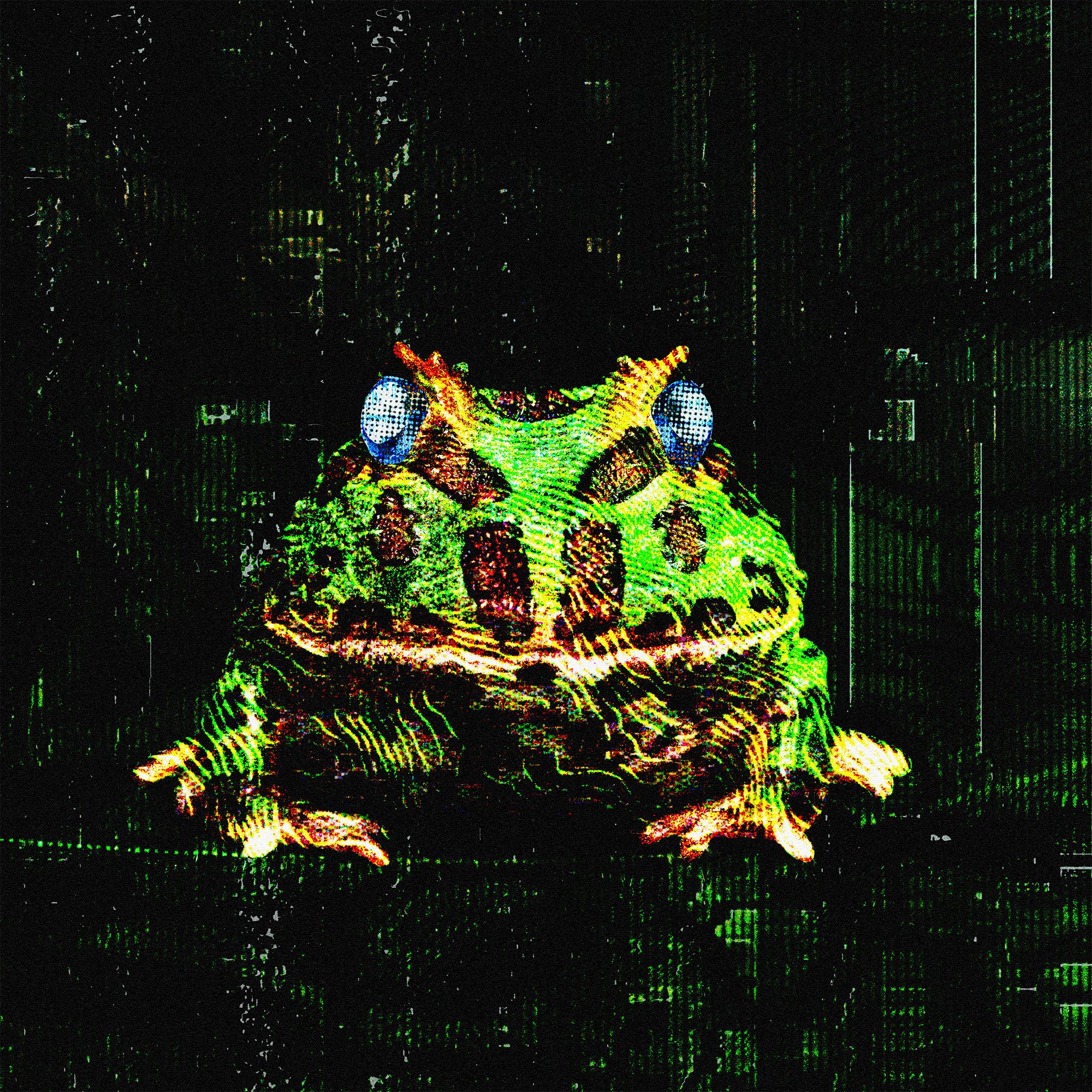 fr0̷g_012