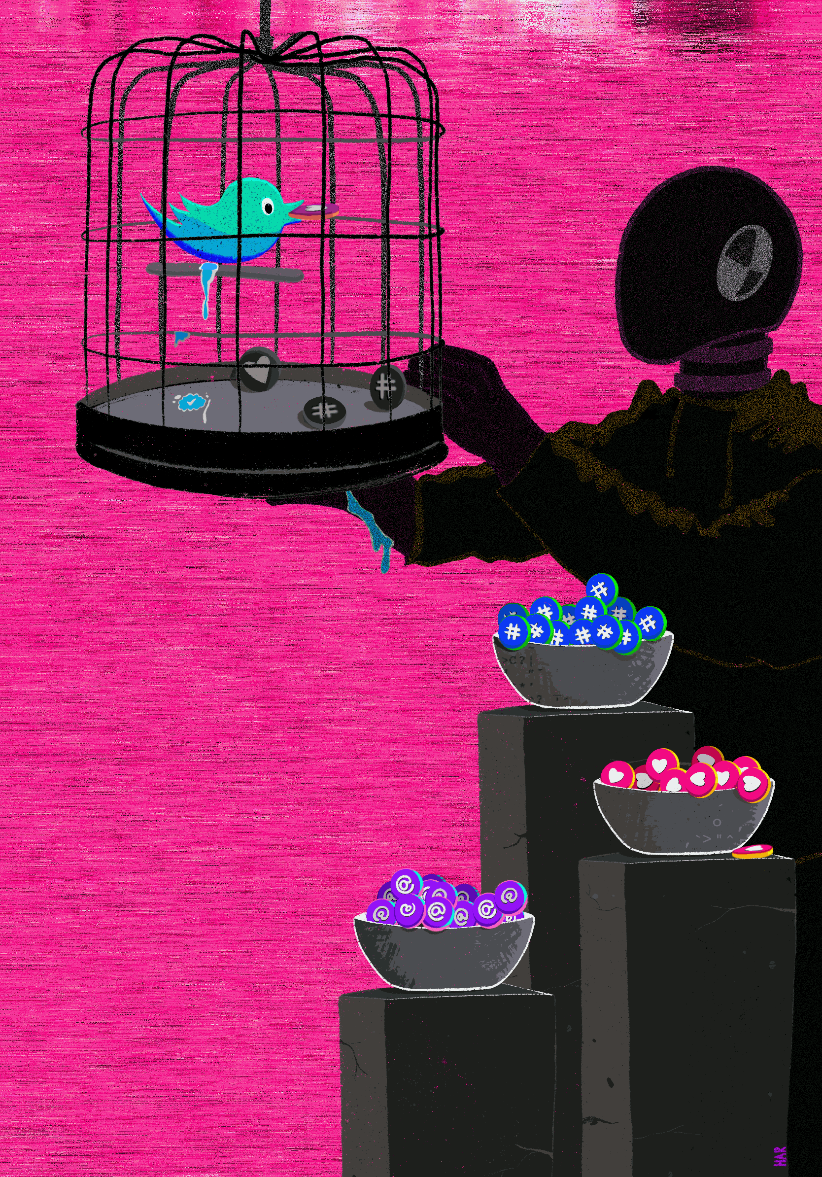 Bird Feed