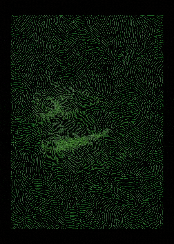 PARAPEPE_4