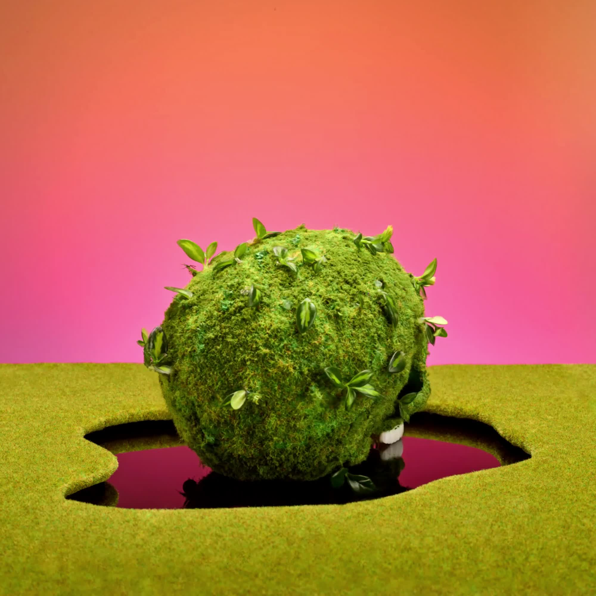 Life & Death by Paloma Rincon #1/20