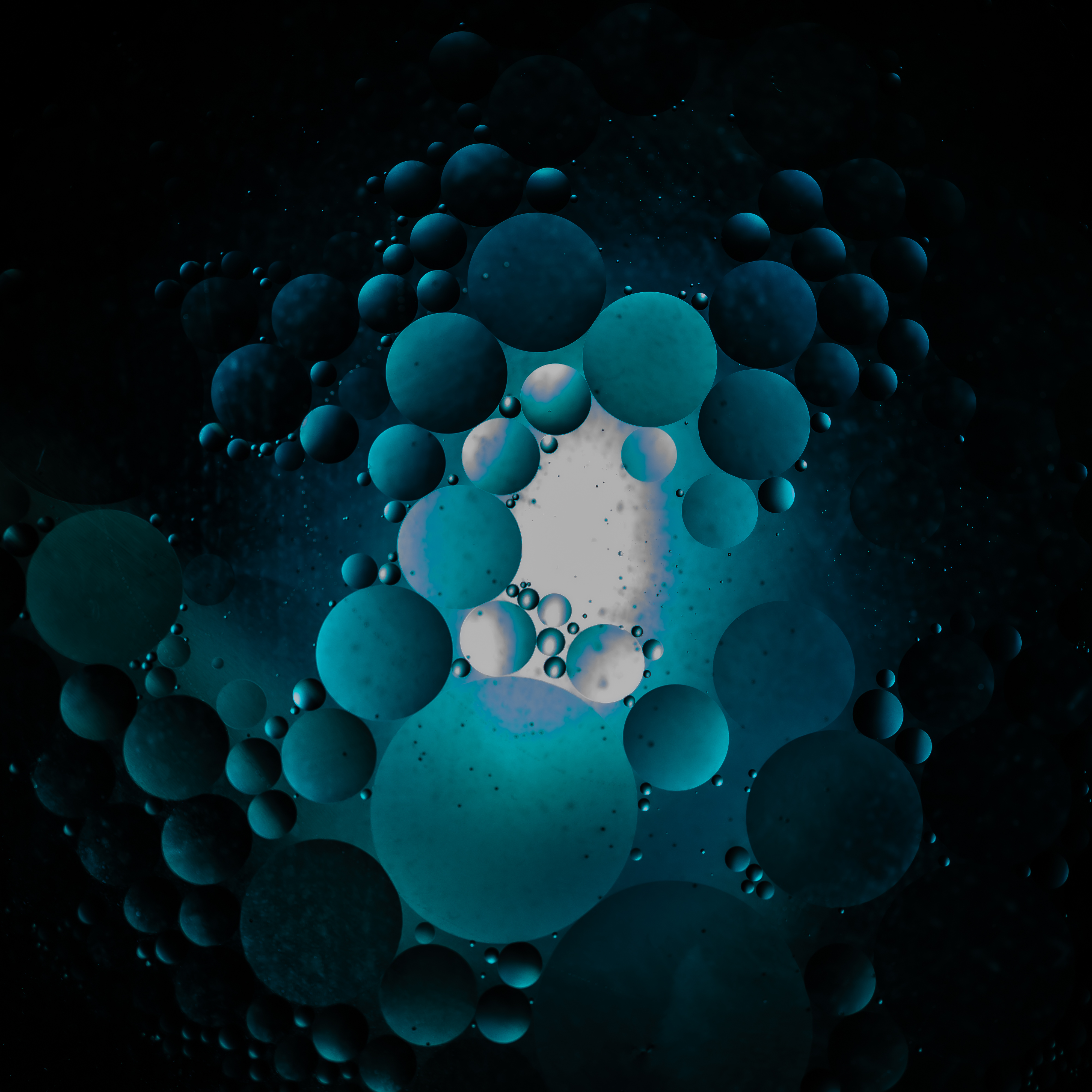 Petri Oil 2