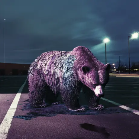 bear #1003
