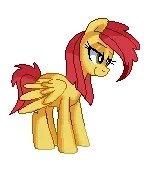 Little Pony #3