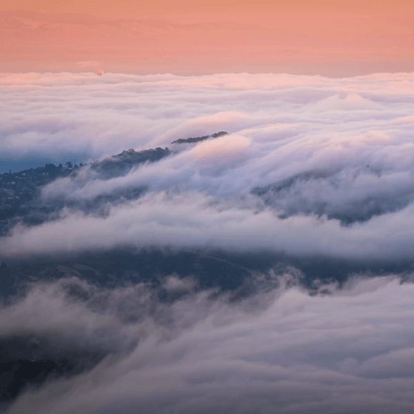 A Symphony of Fog in Motion #1