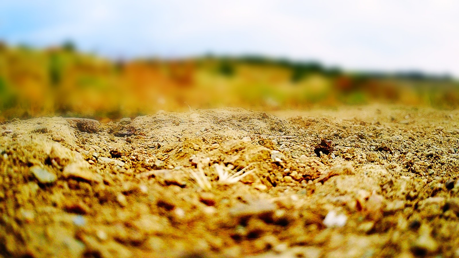 Sand