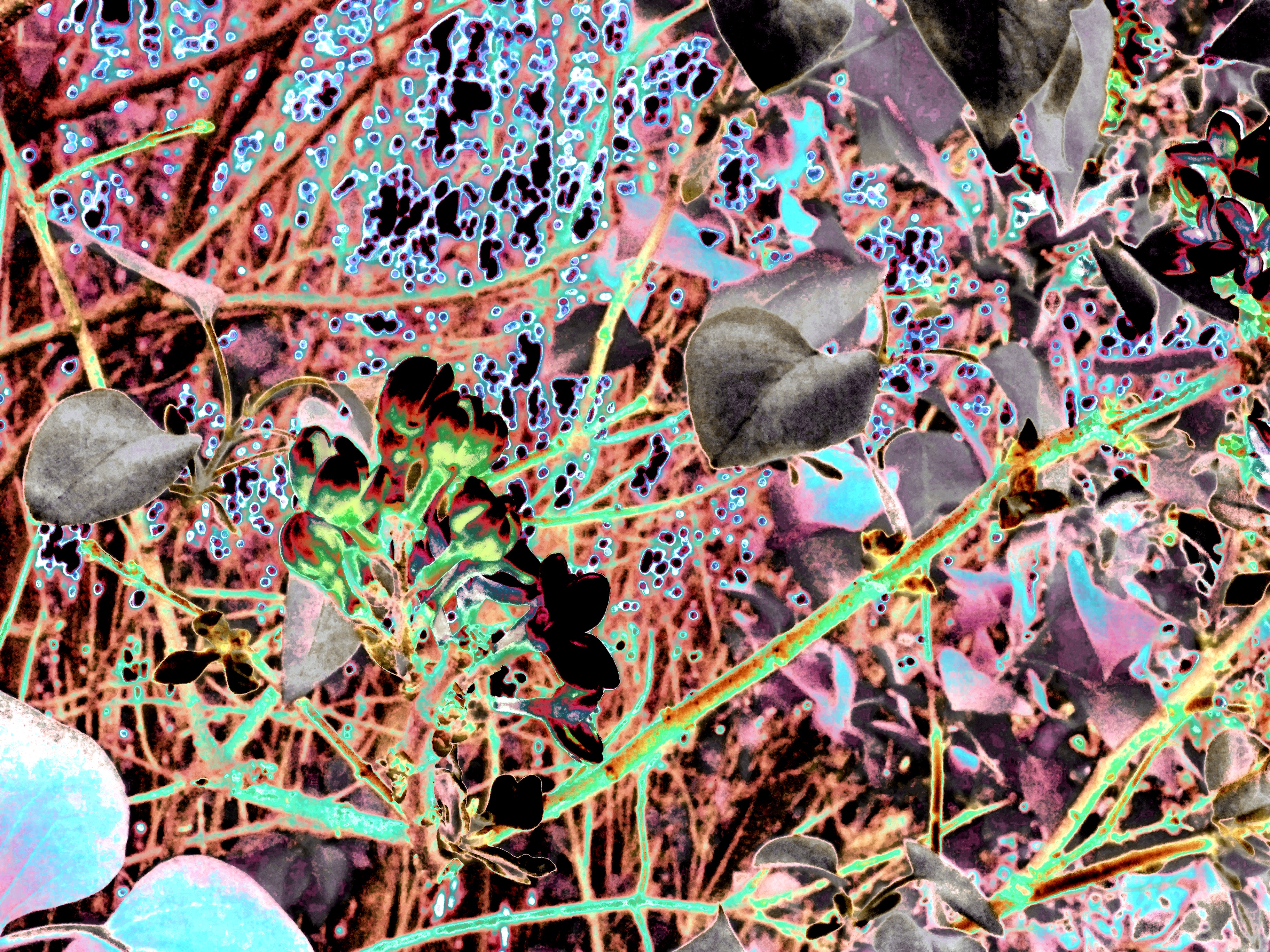 #78 - (untitled)