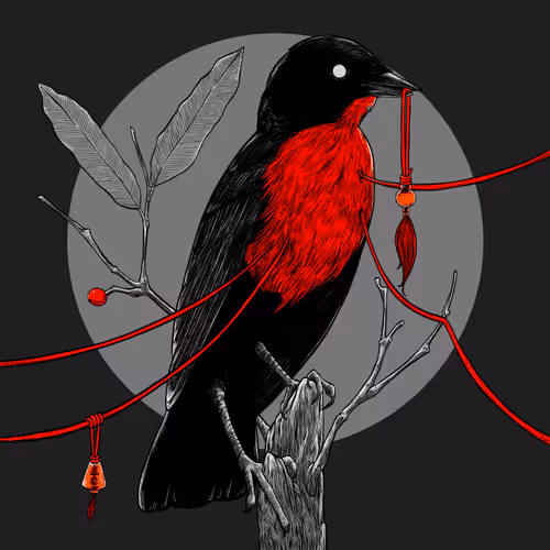 Spirit Bird: The Companion