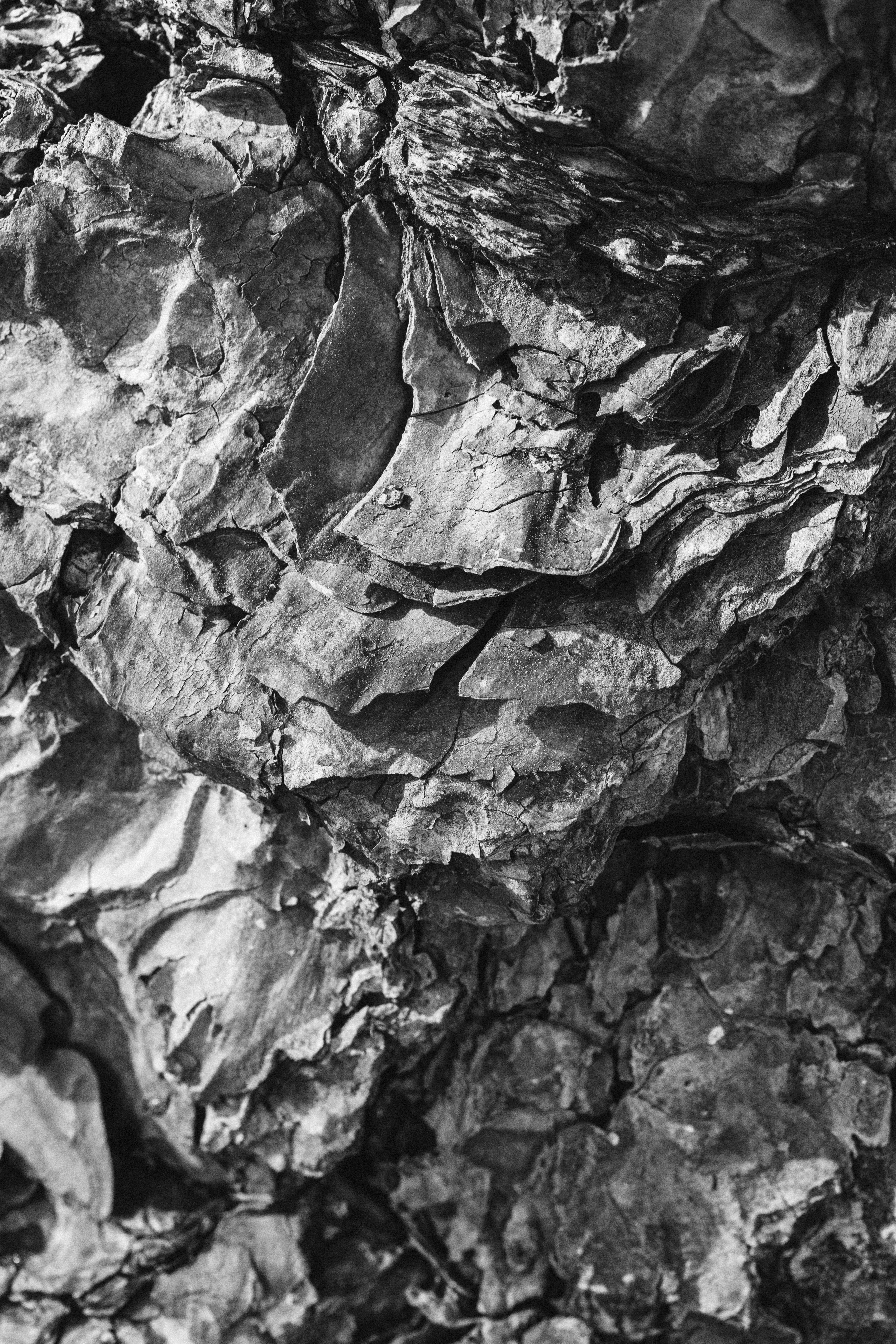 Ridges