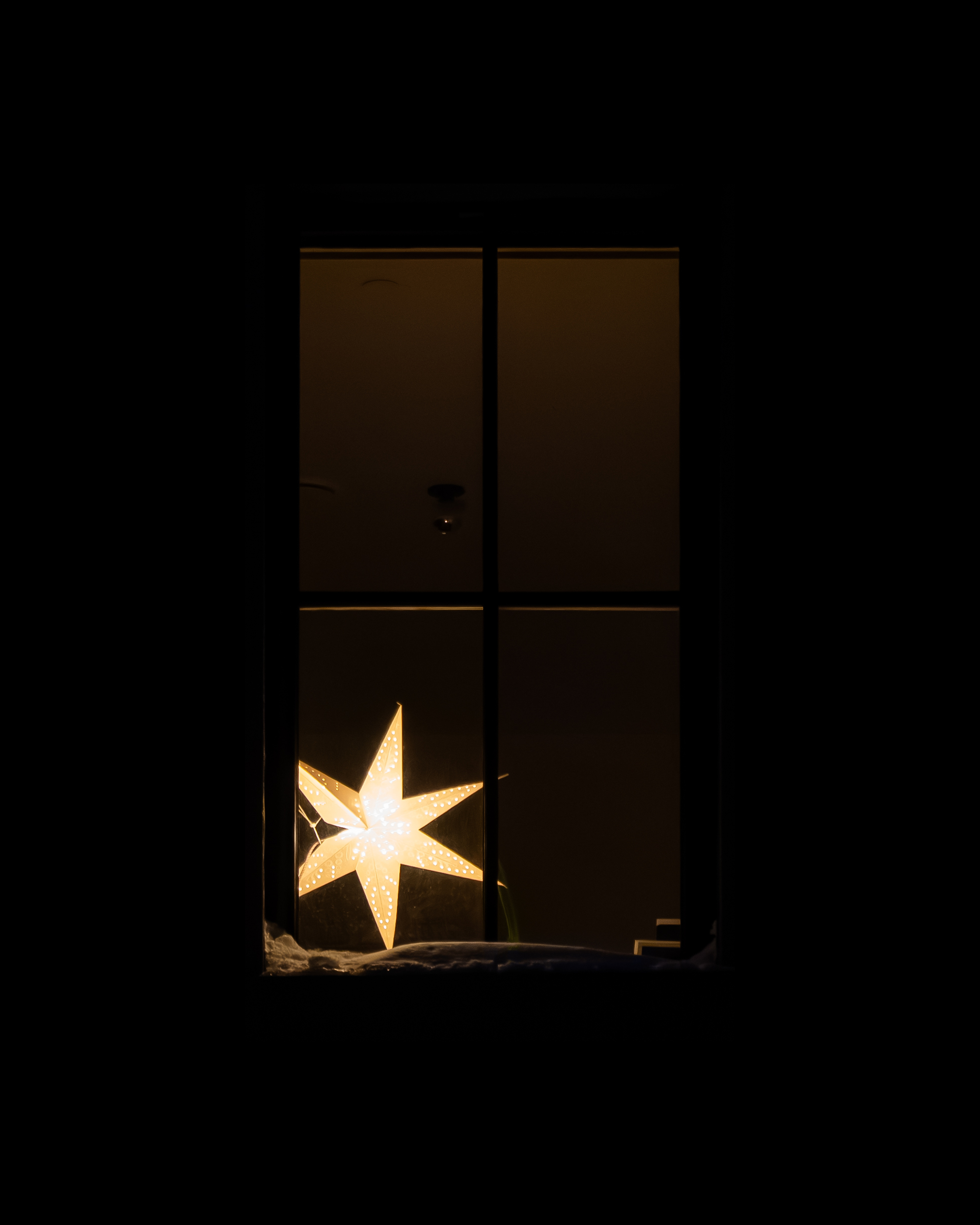 WINDOW 366
