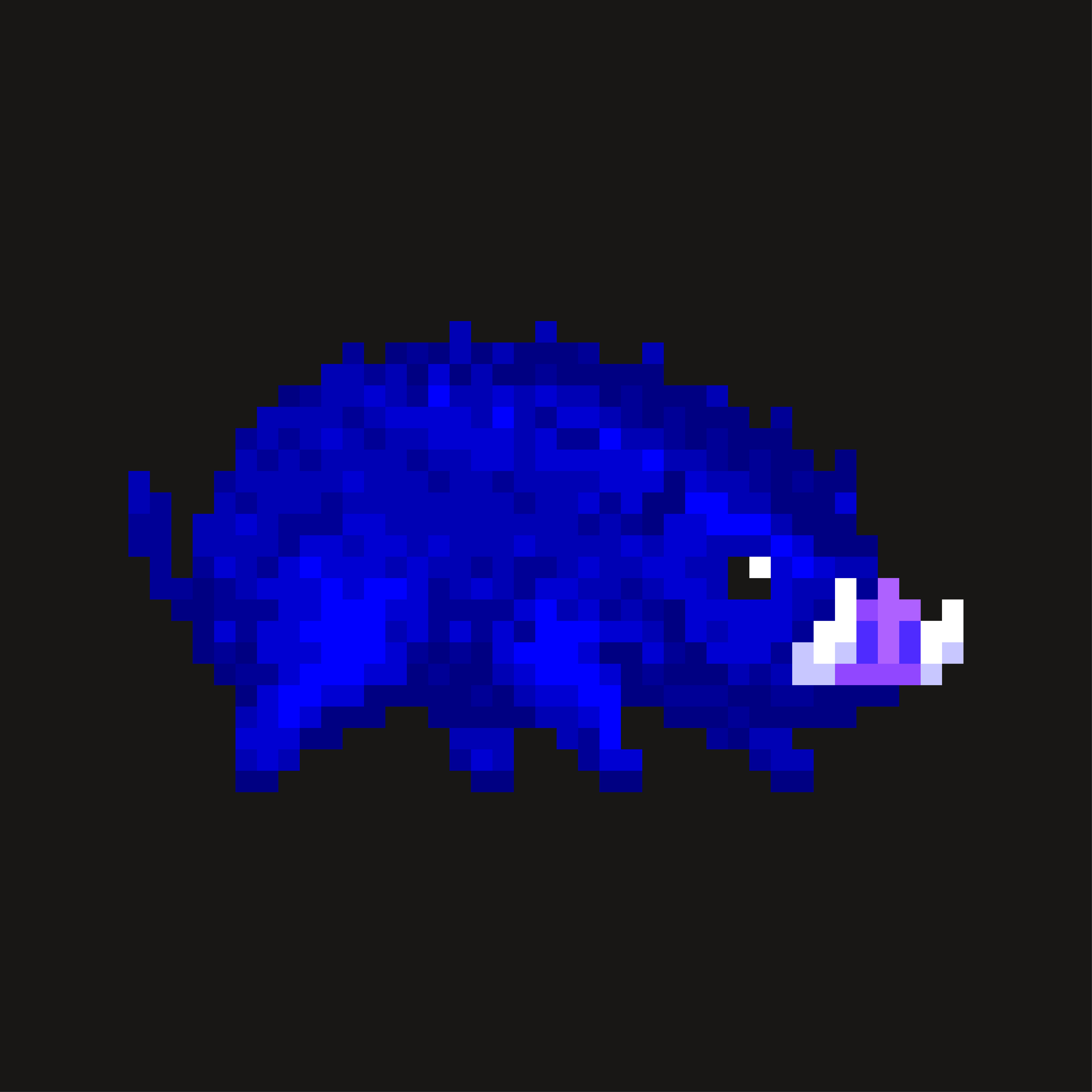 SaltPig #20