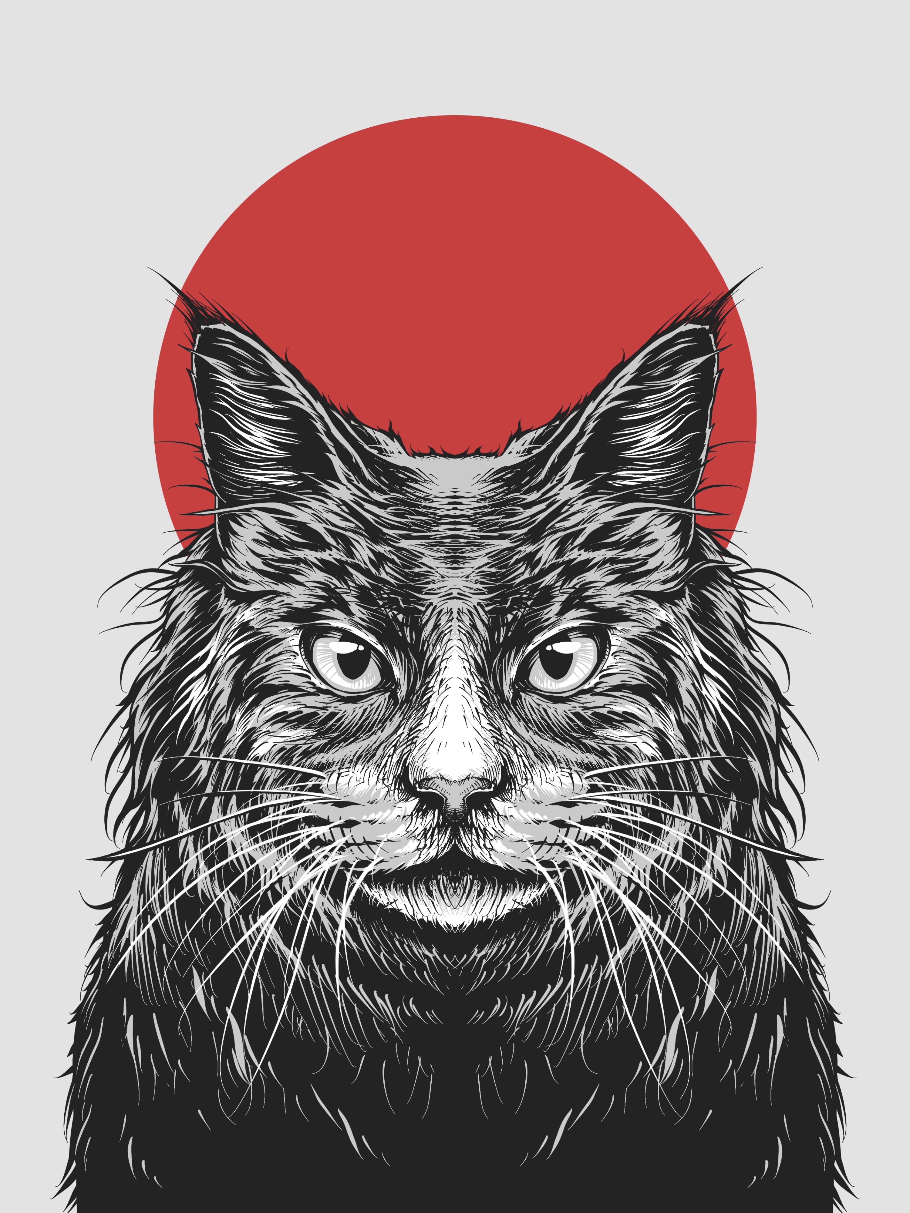 Ucing