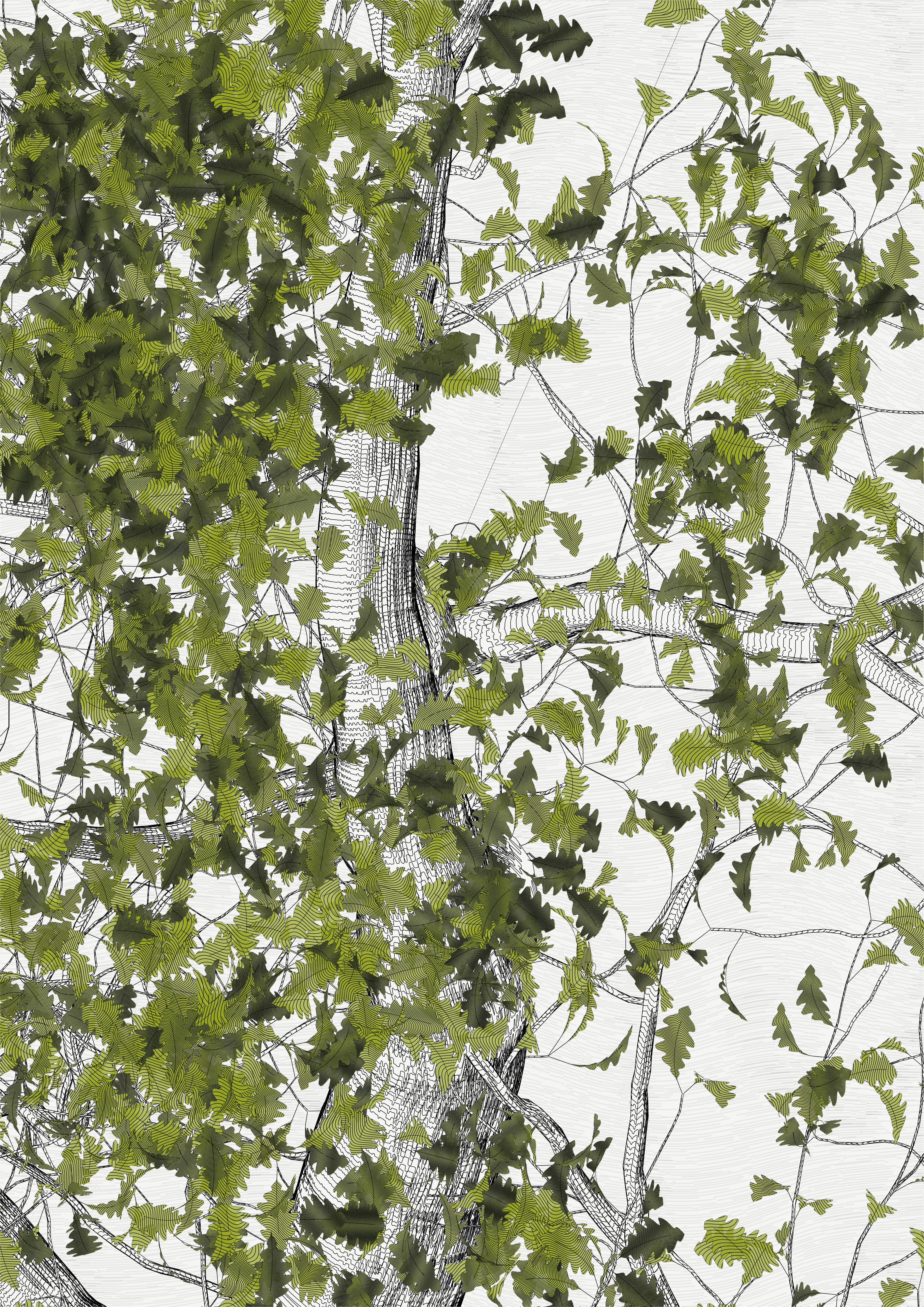 The Oak Tree part #0,+1