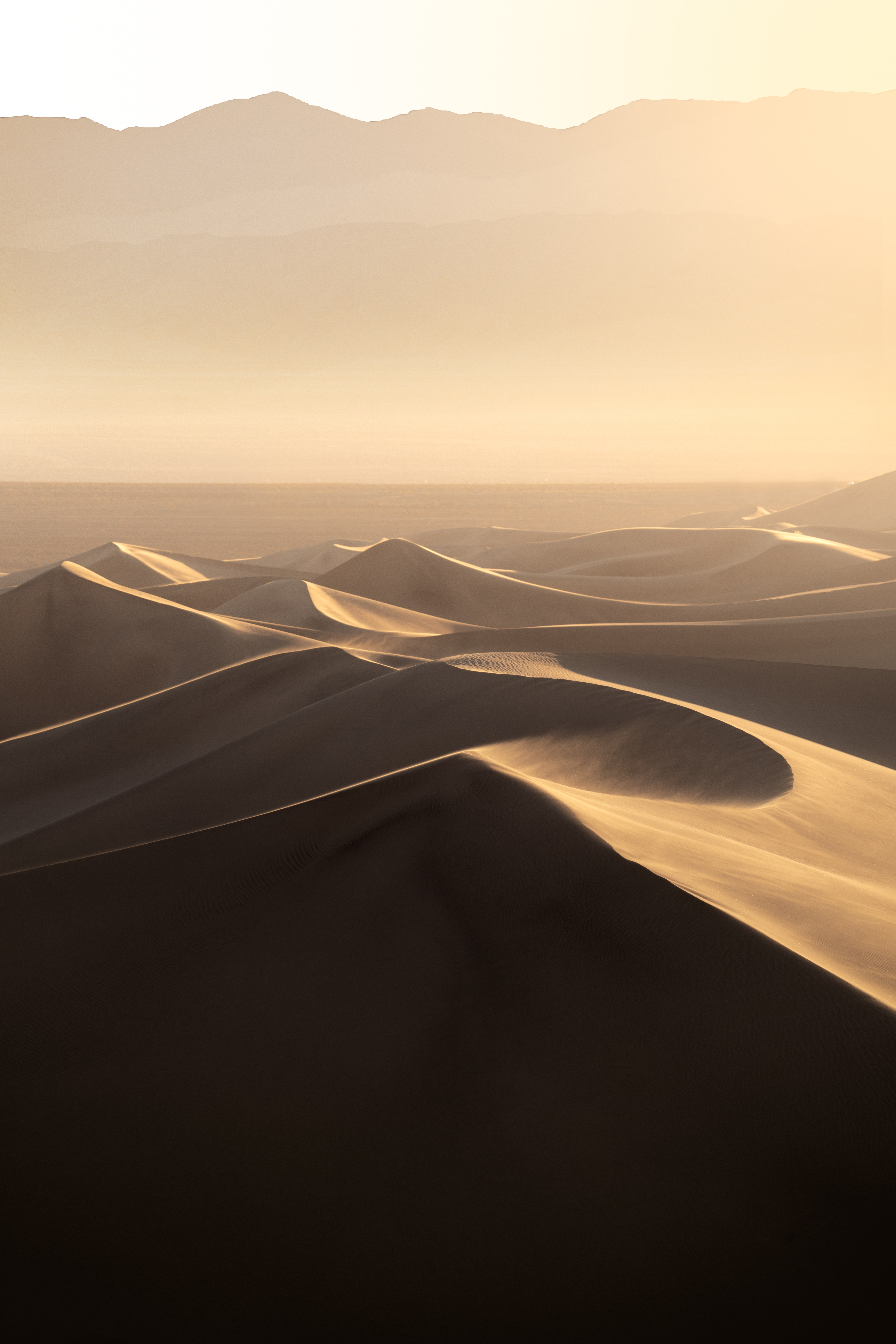 Dunes are a Vibe | FIFM #43/222