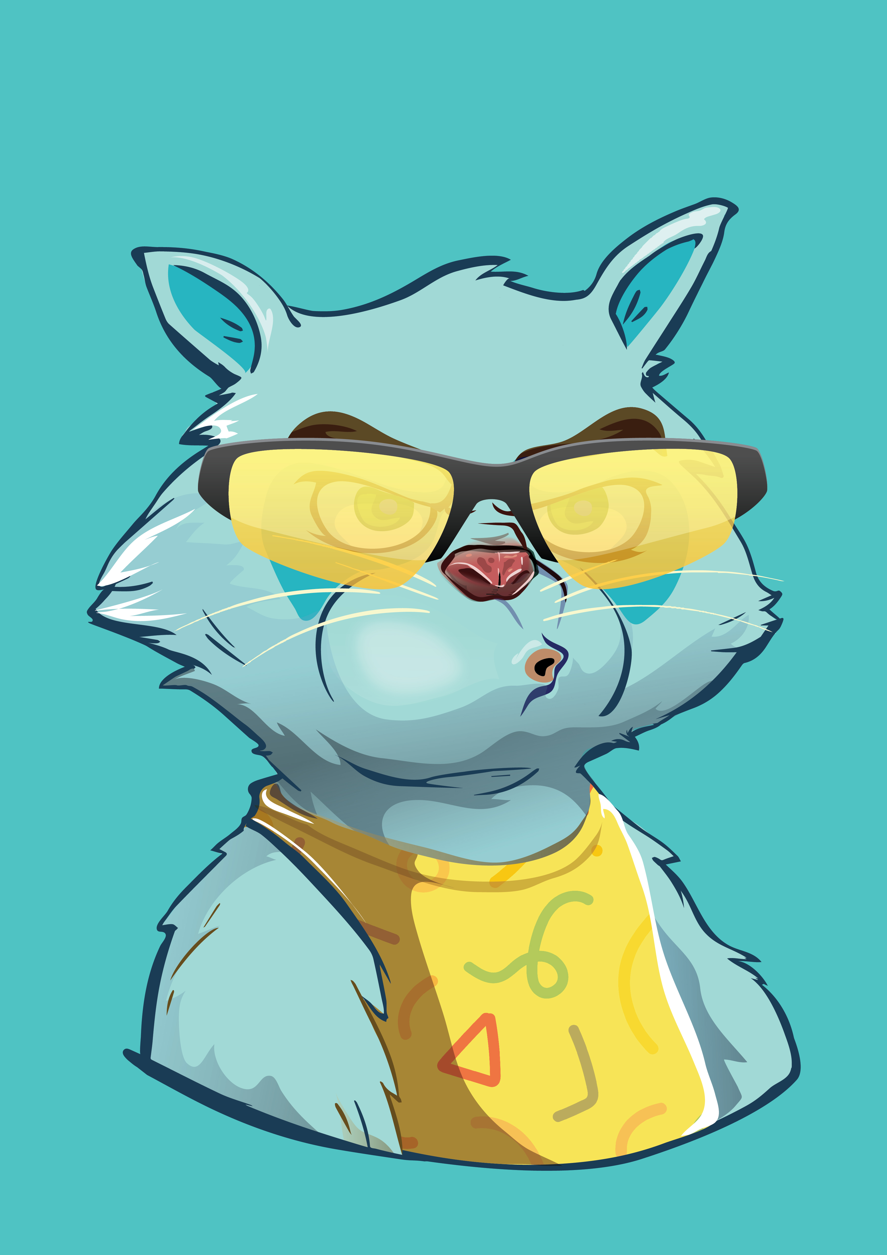Raccoon-067