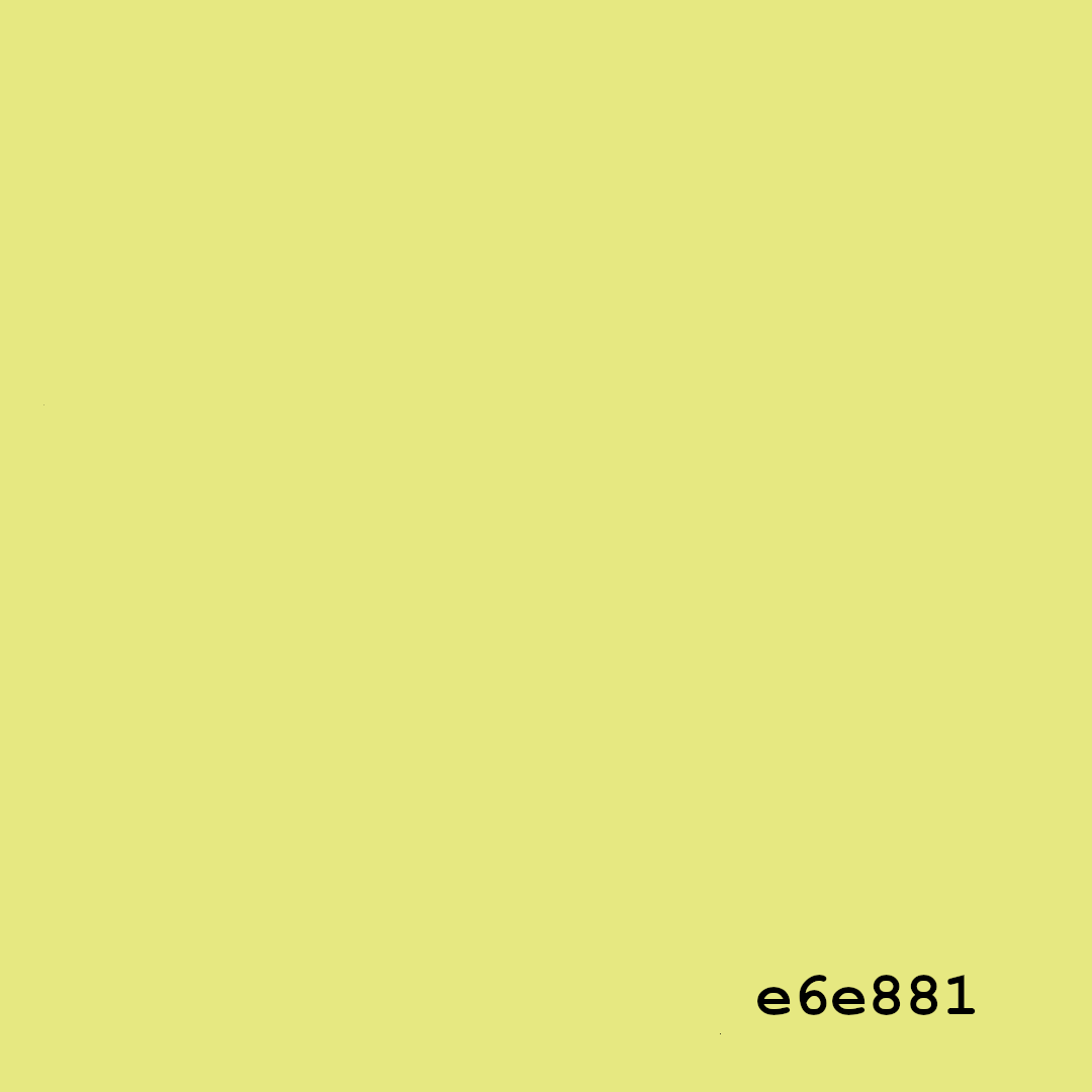 e6e881 (tribute to NFT collector Benoit Couty)