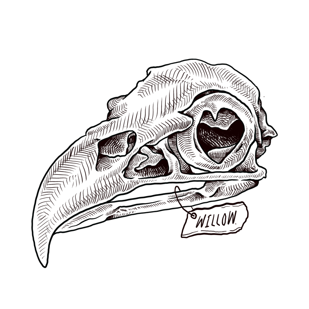 WILLOW-SKULL