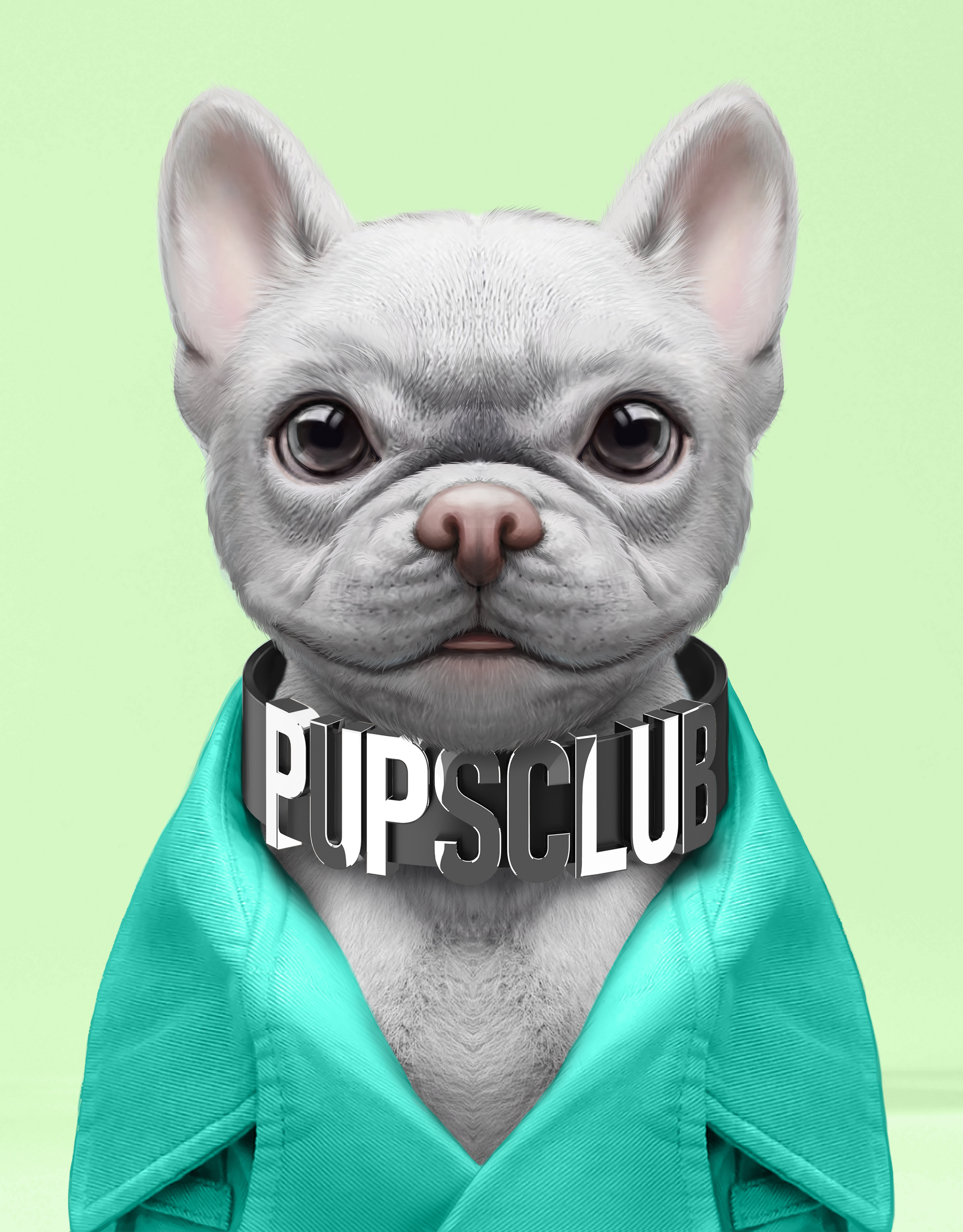 Pup #781