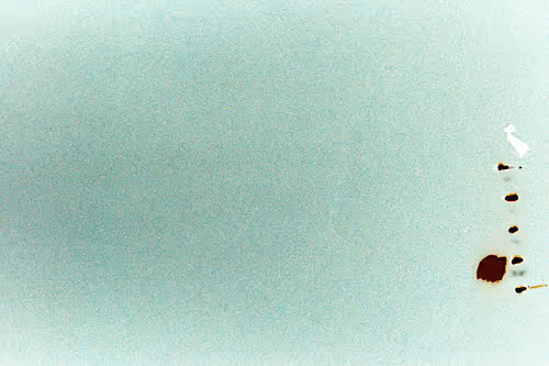 Number Fifteen