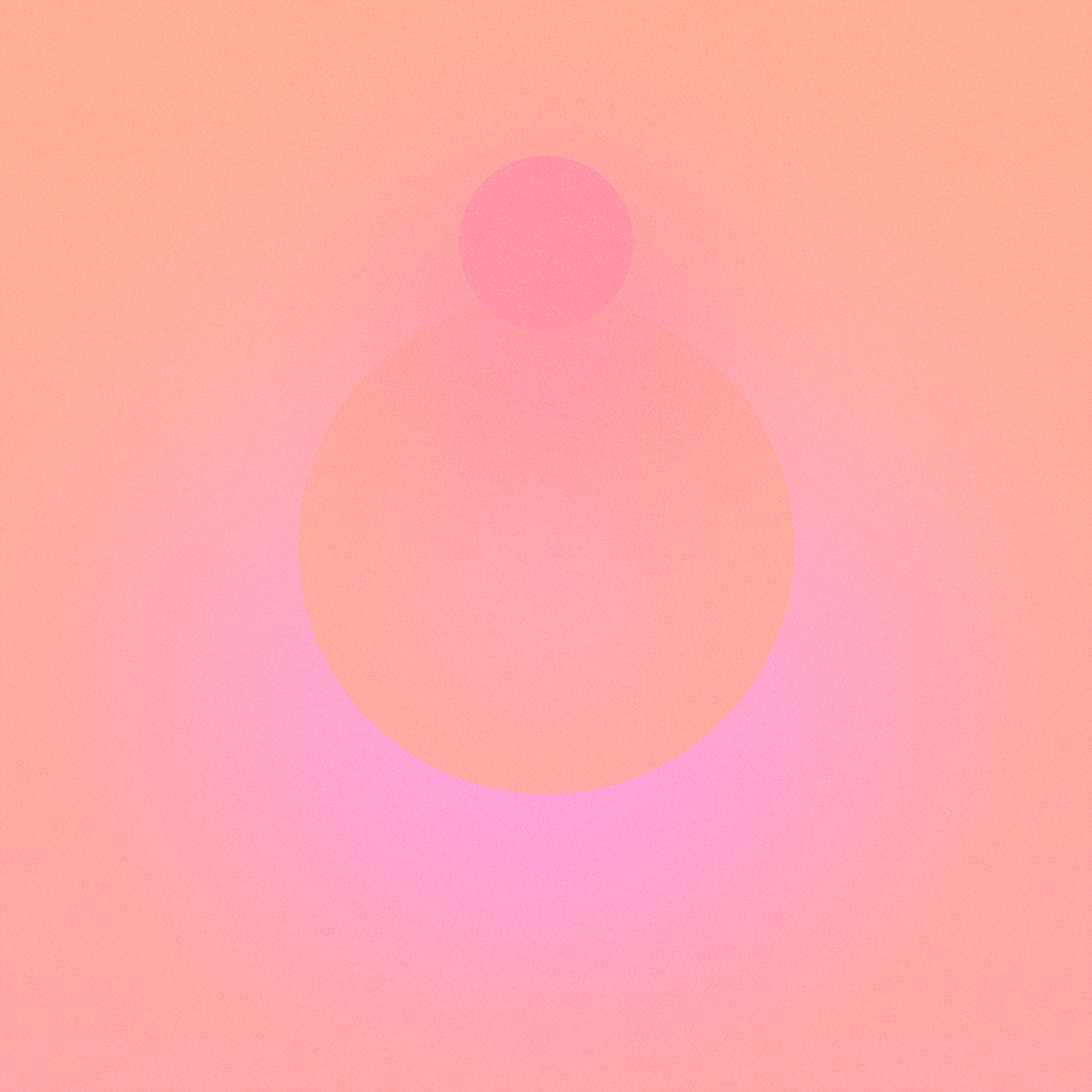 with the light 28