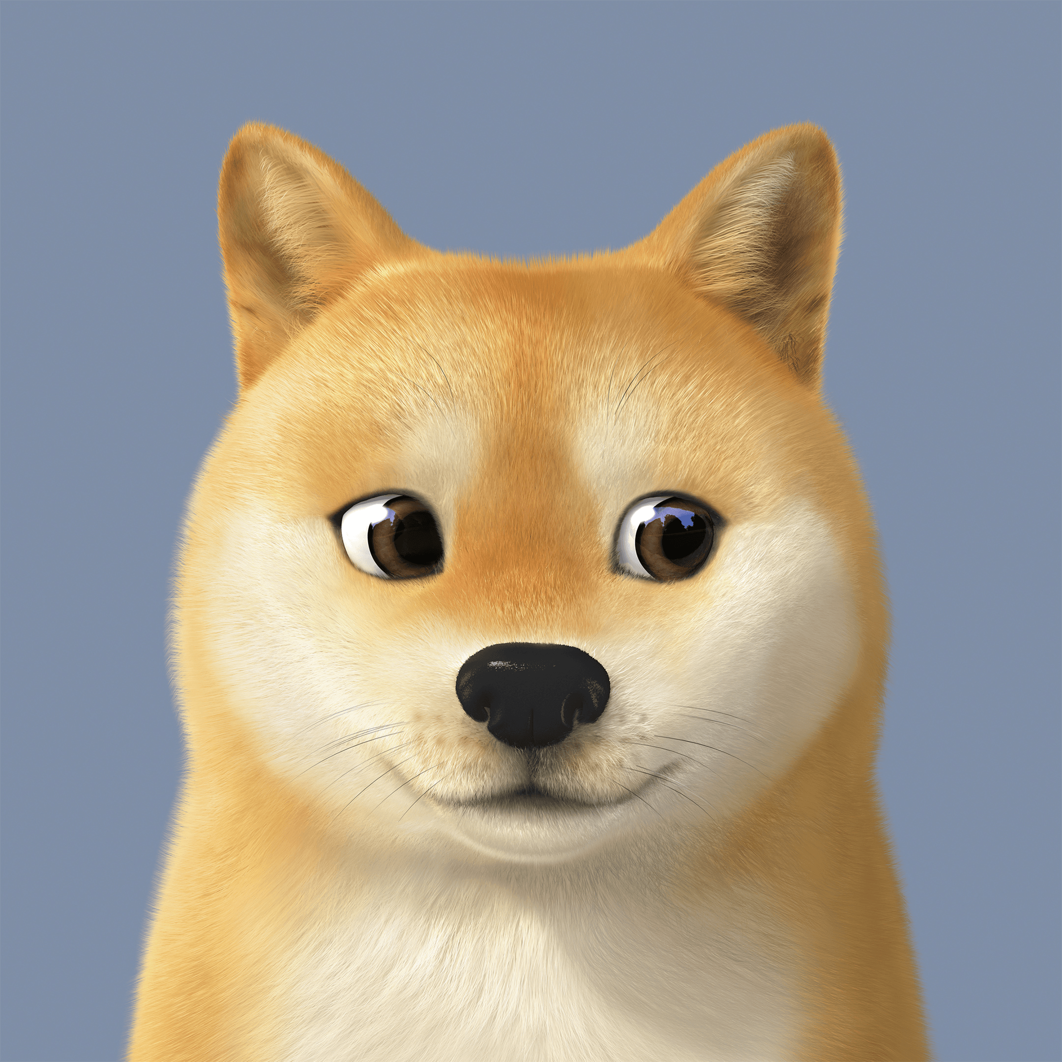 #430 Doge the Shiba Inu
