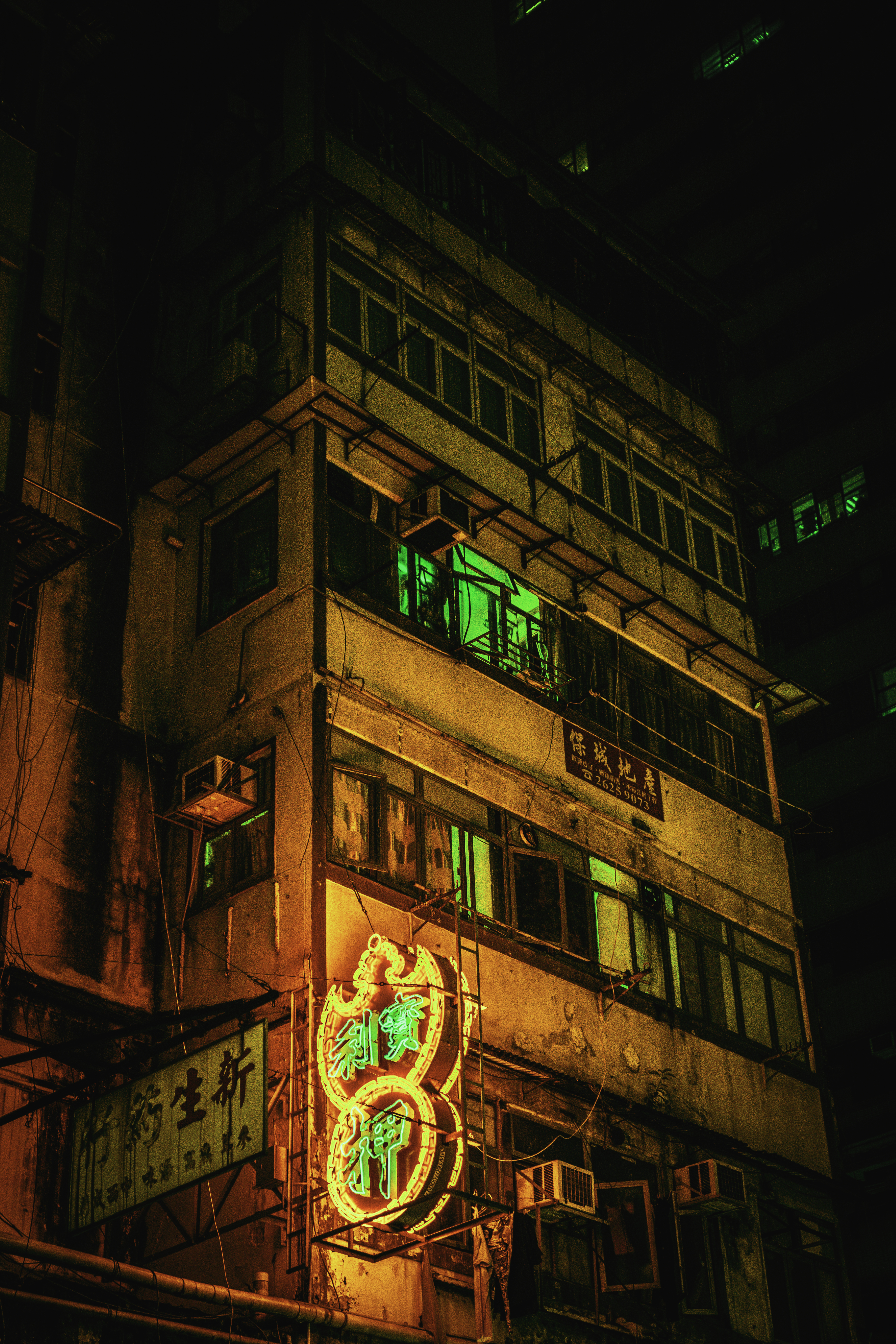 Window - Ignite the Night #3