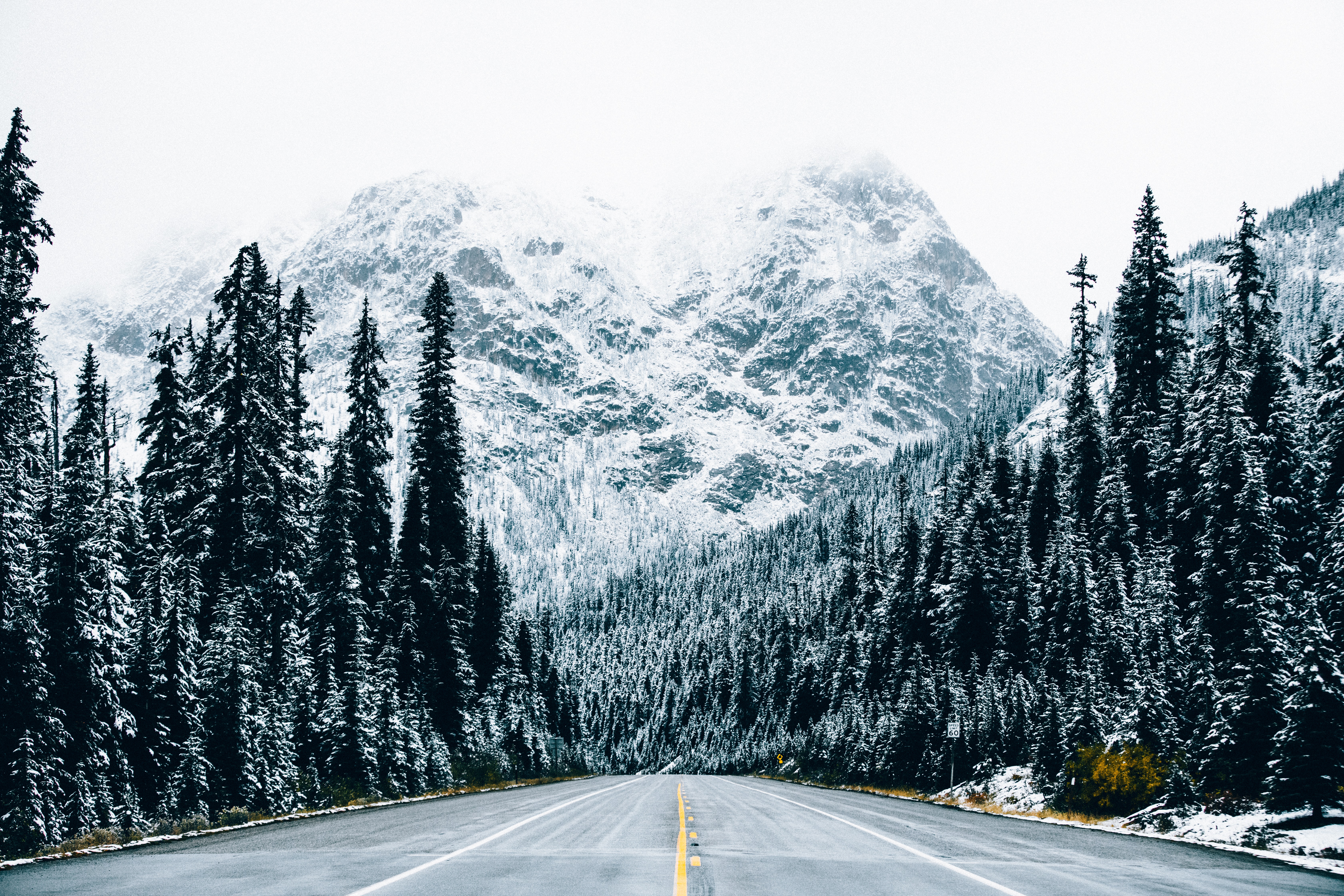 #01 "Long Road Home"
