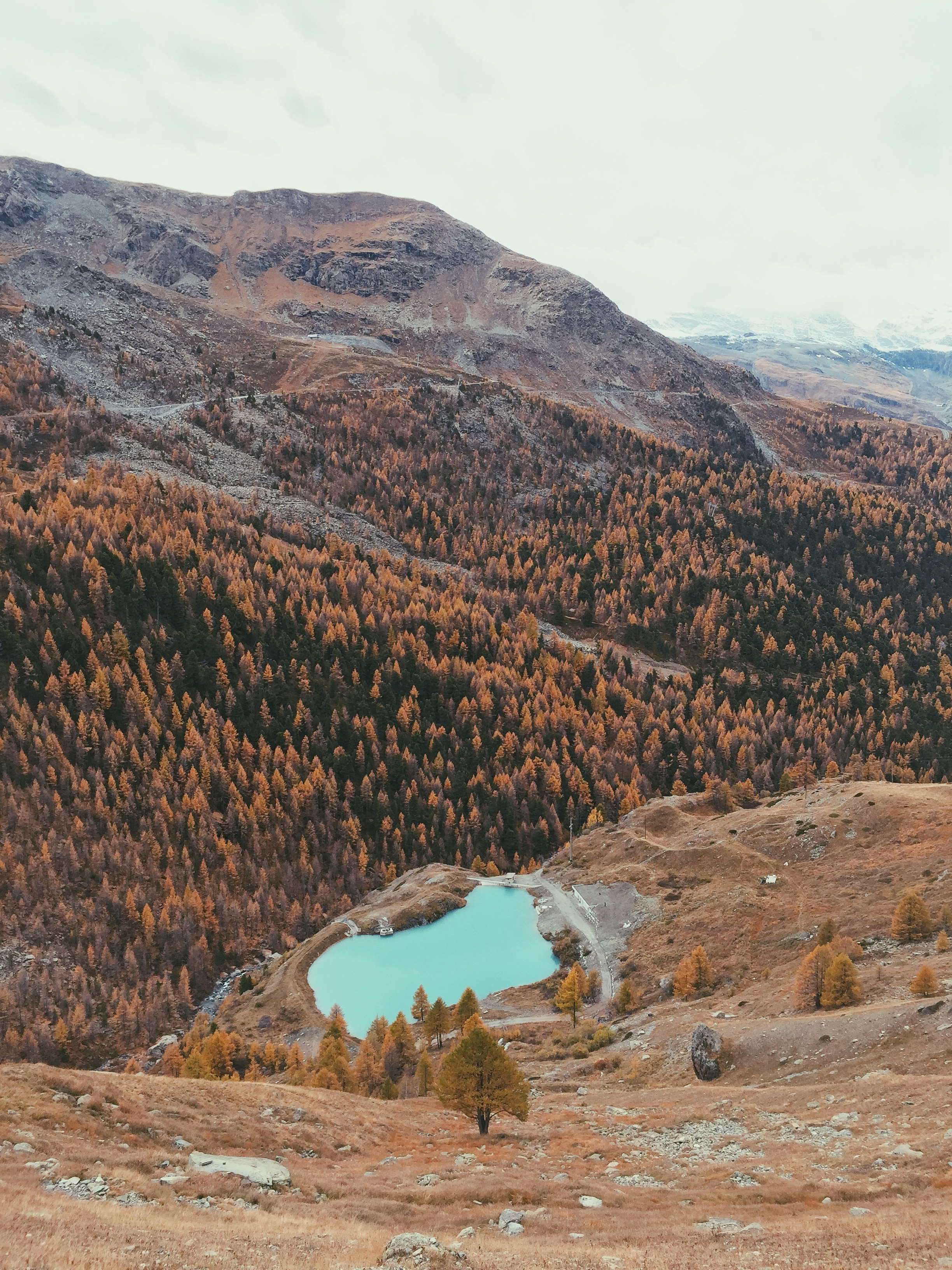 Swiss Lake