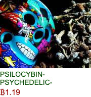 Silk Road Not Dead #2128