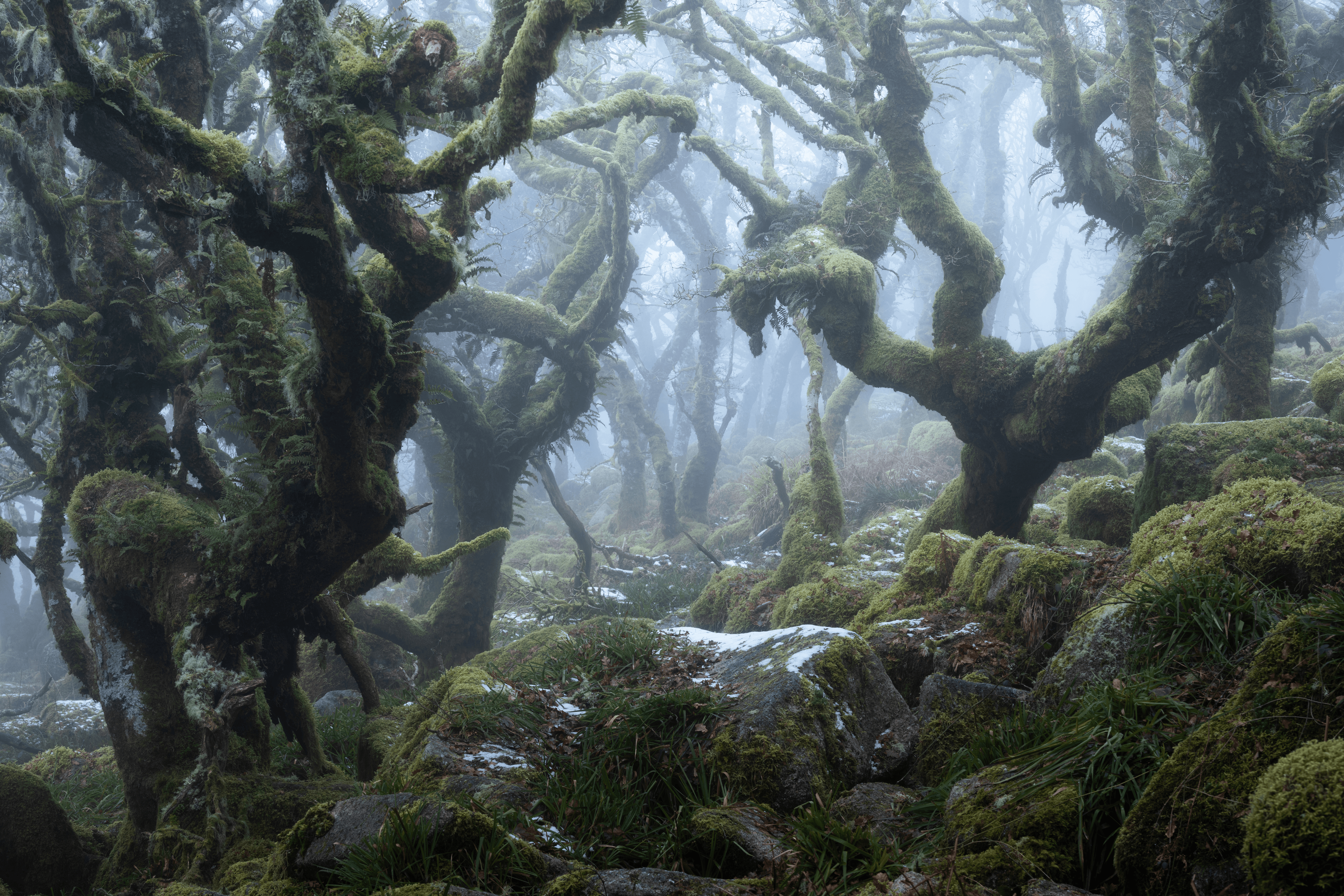 MYSTICAL LXVI (UNDERWORLD)