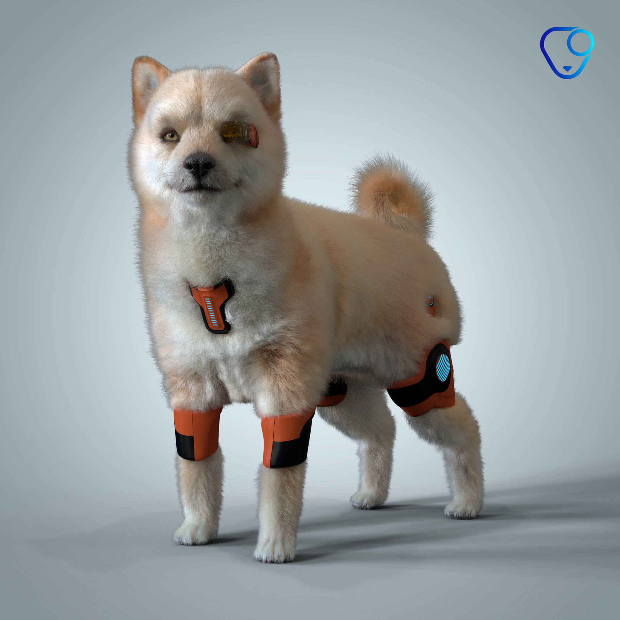Shiba Inu #664