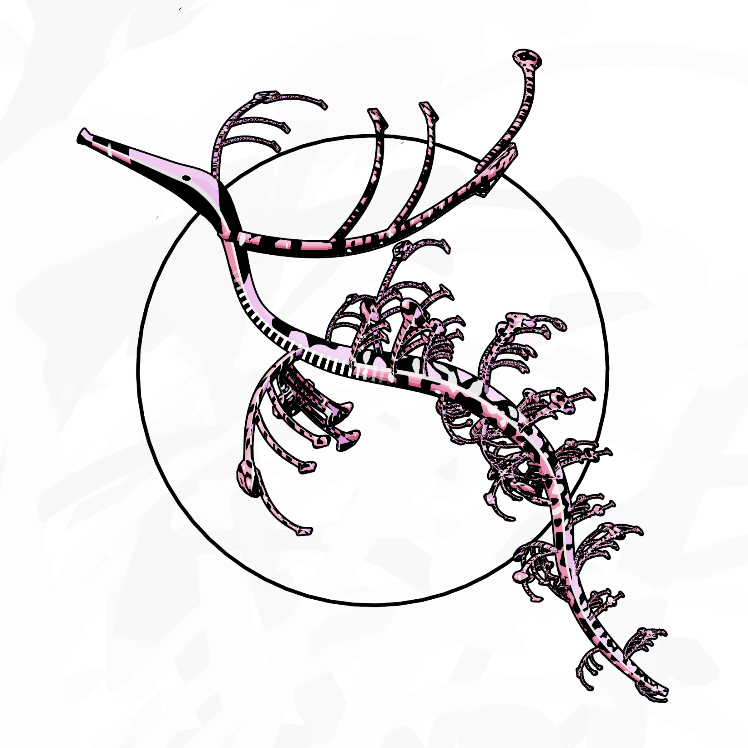 Seadragons #841