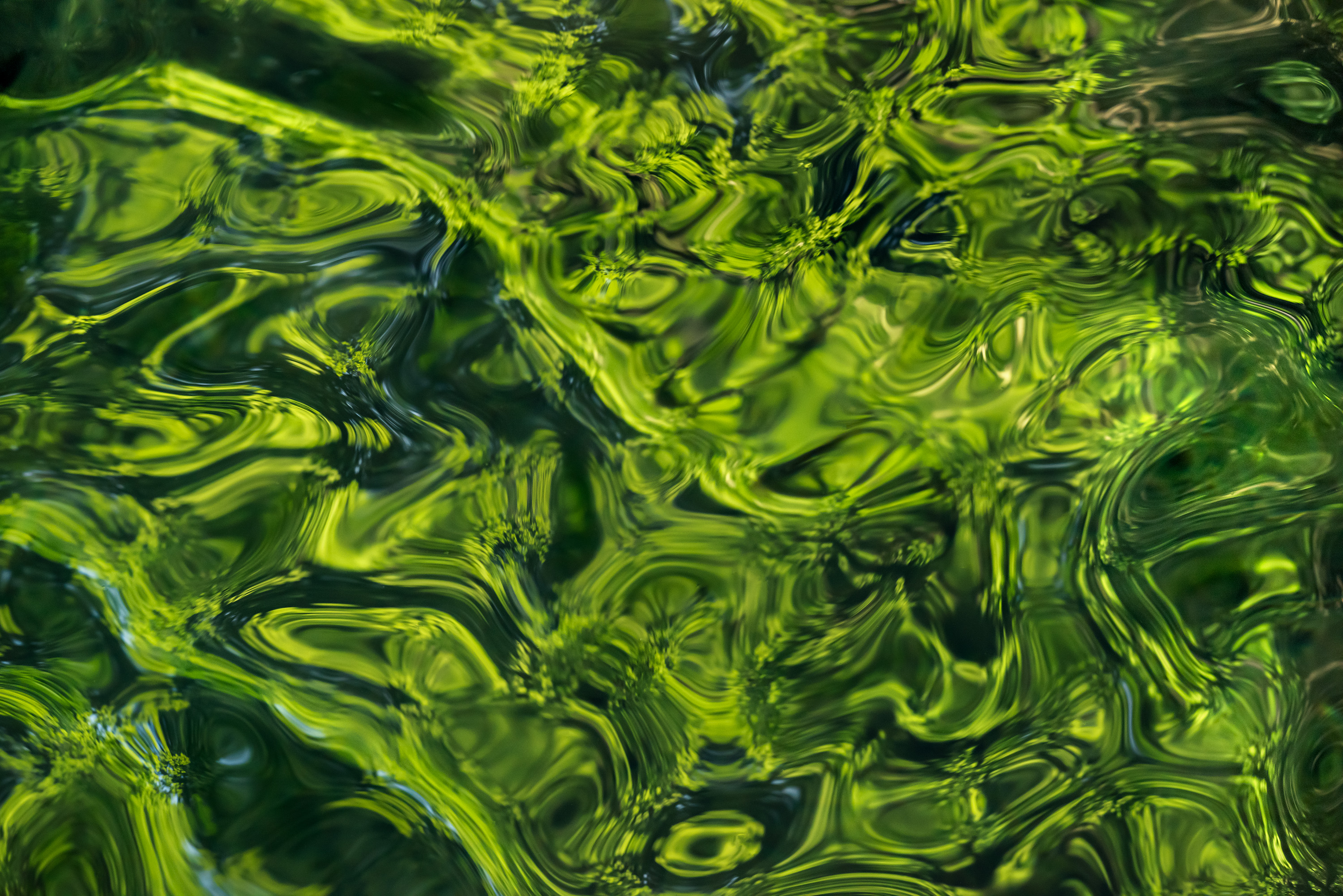 Ebb and Flow #55
