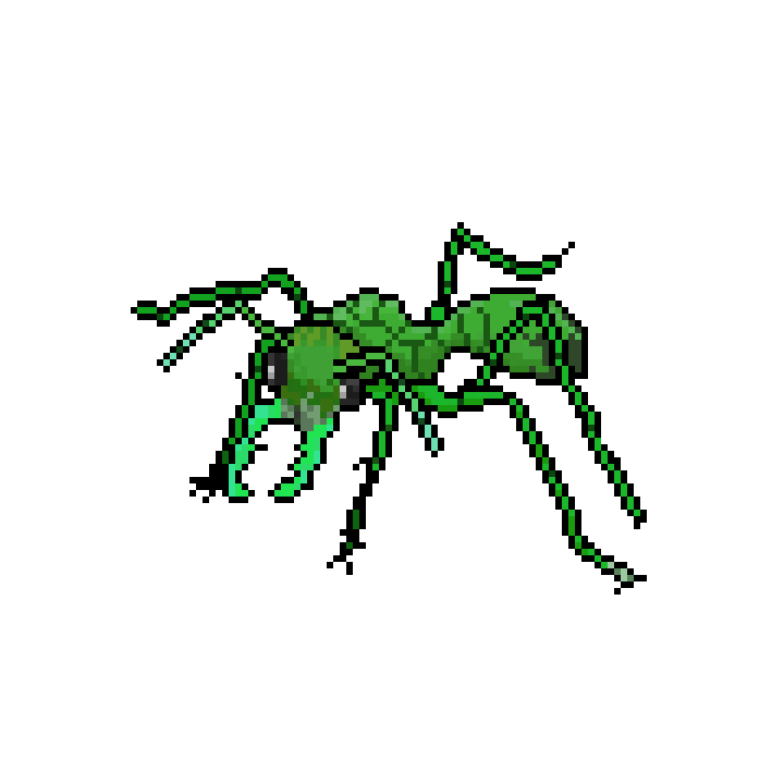 Bull Ant