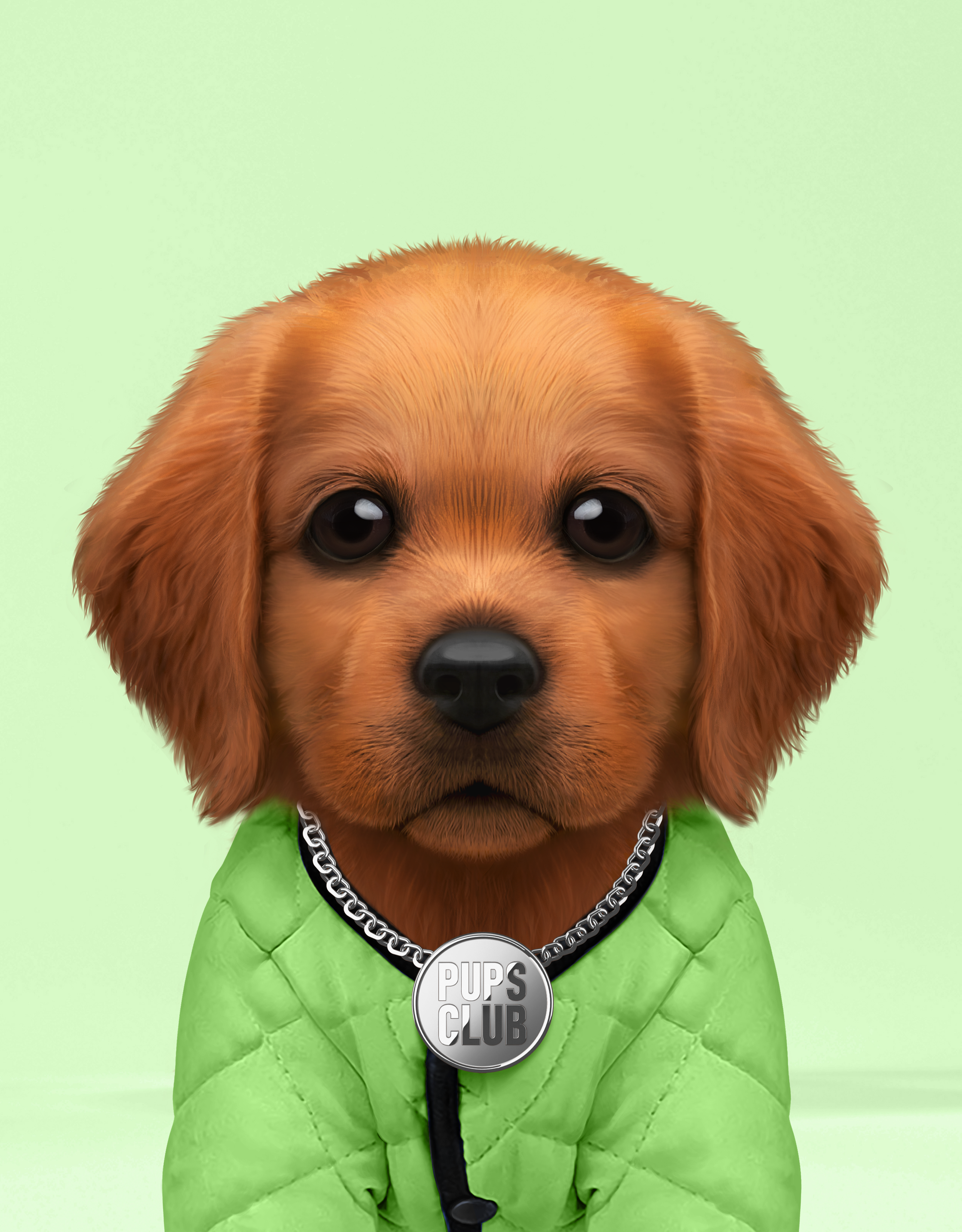 Pup #8247