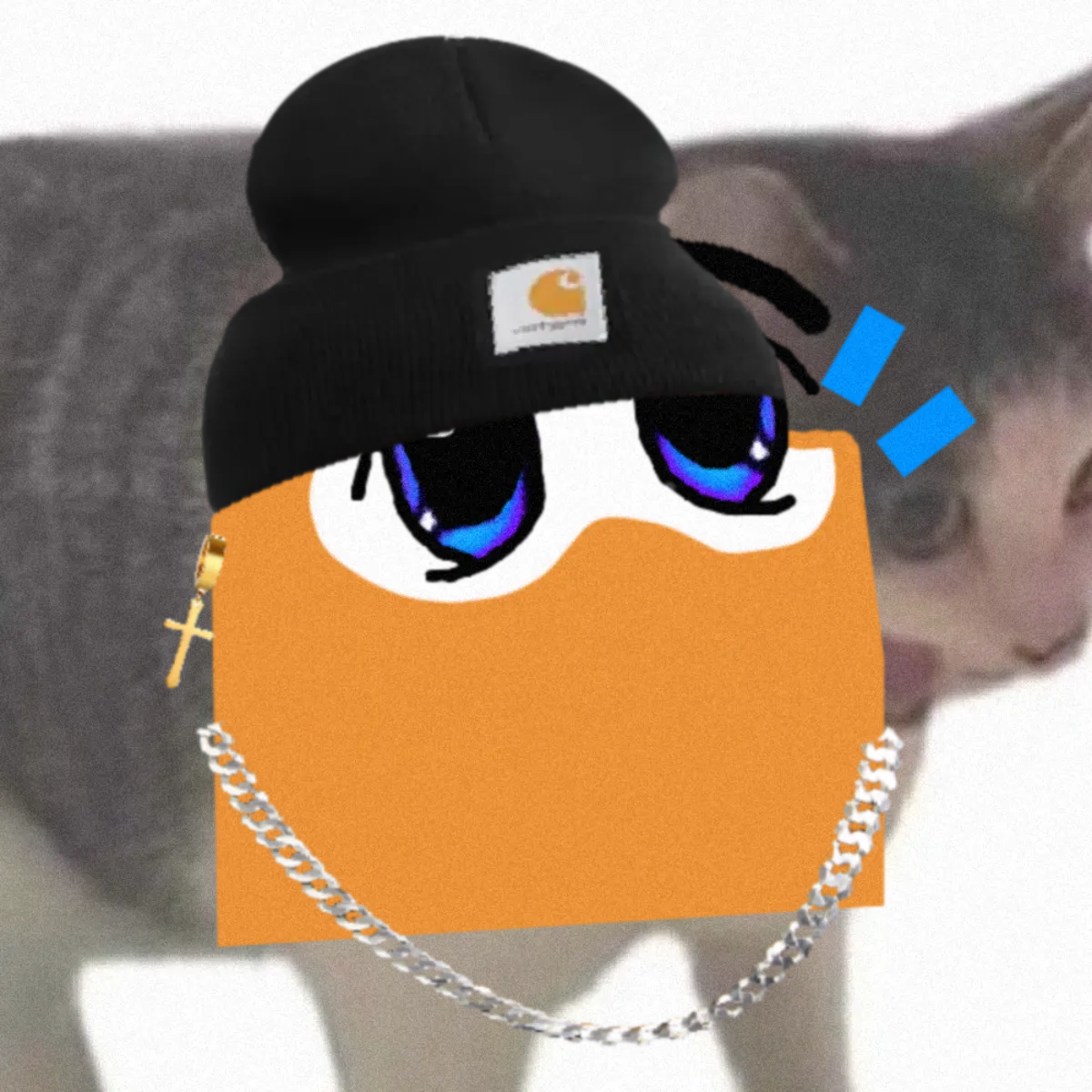 Tut Loudio #261