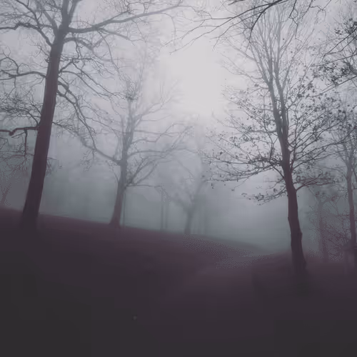 Photo #168