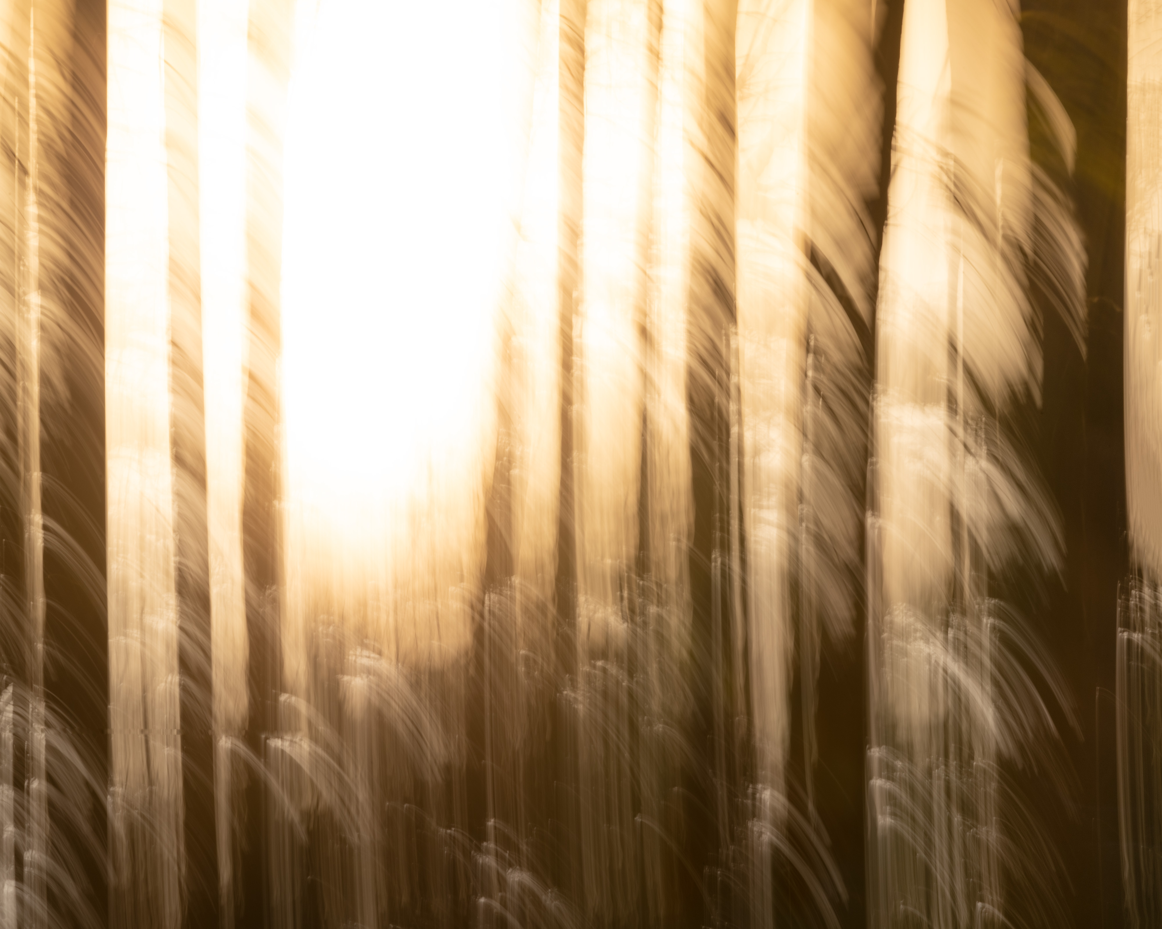 Blinding Bright