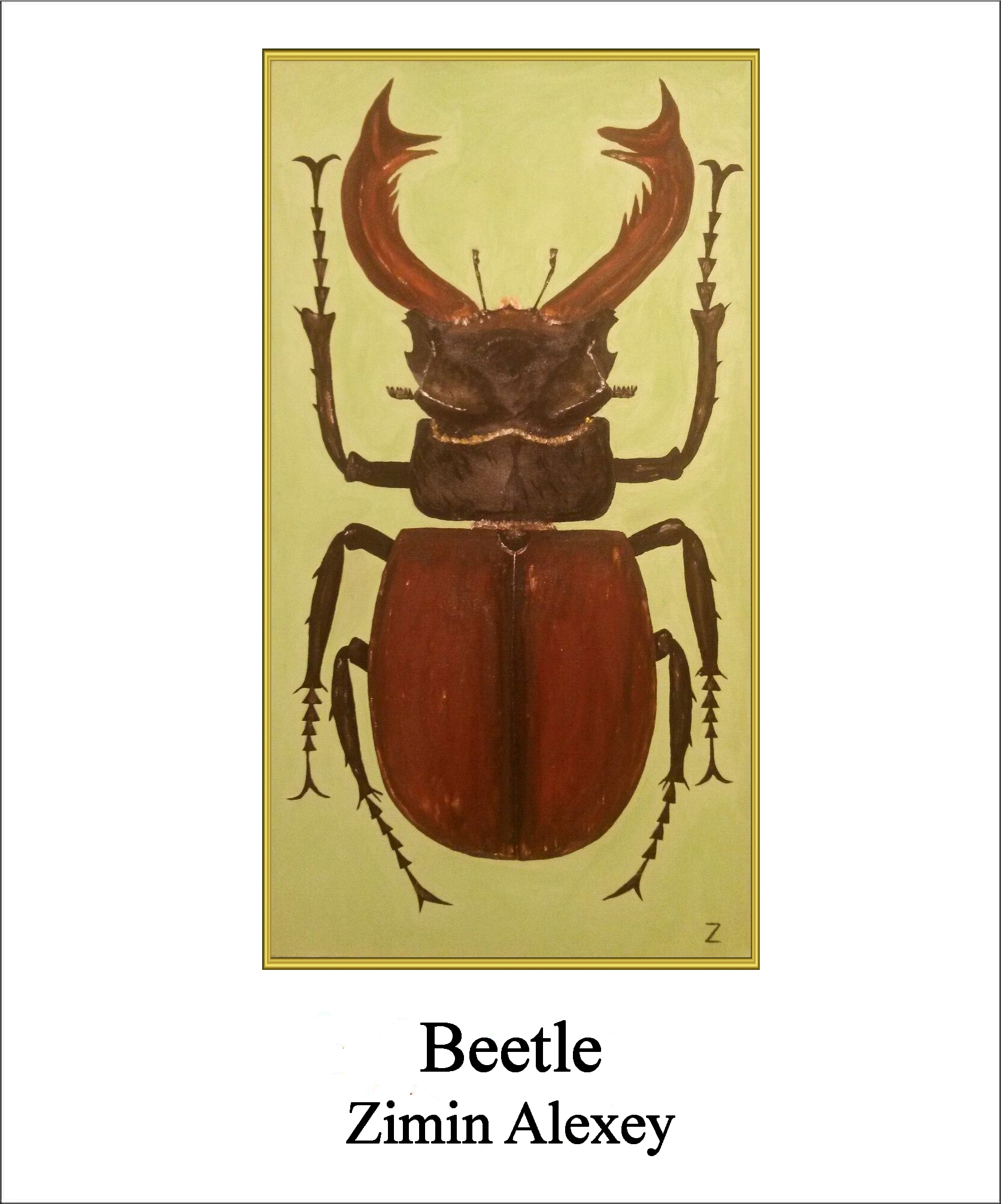 Beetle