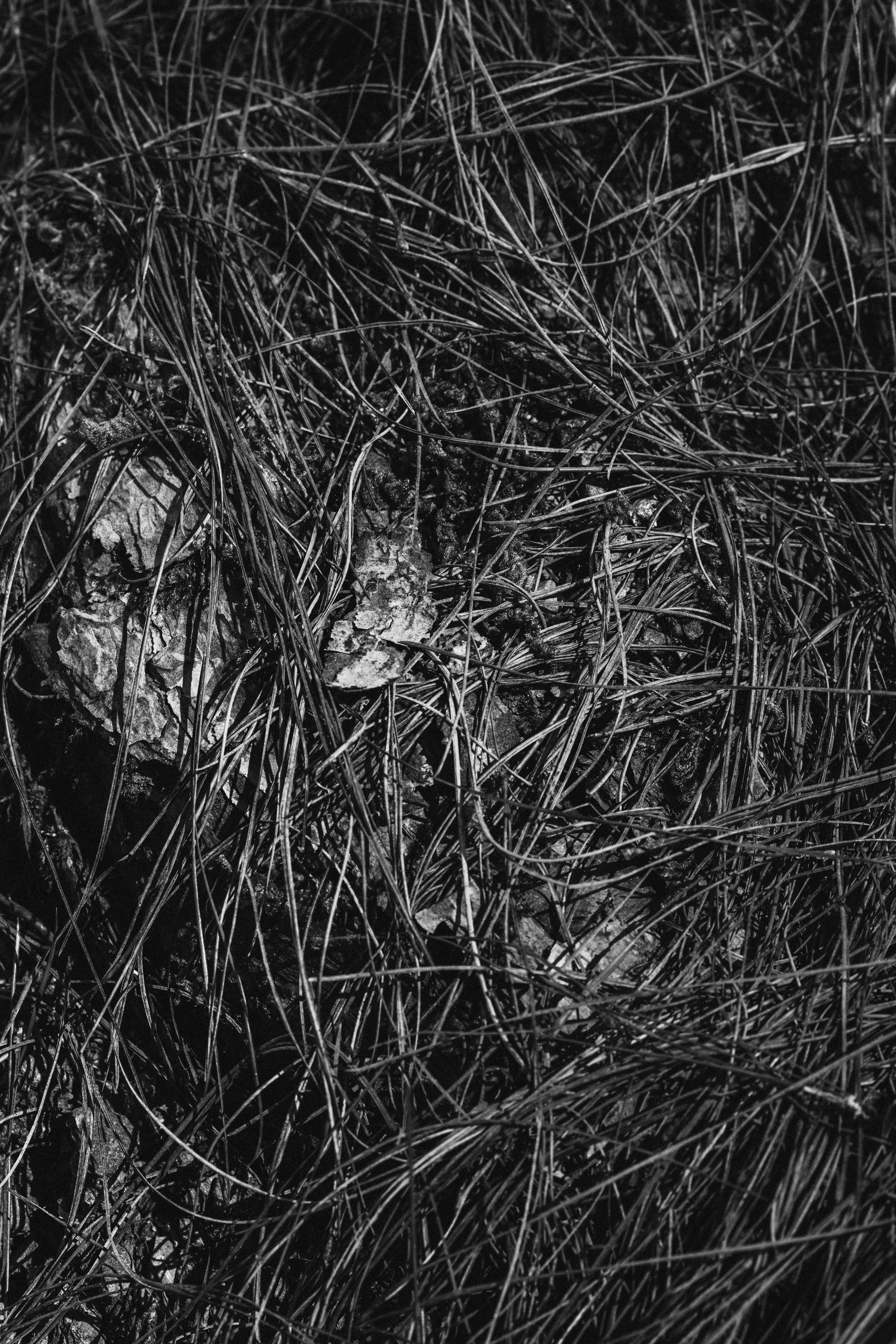 Uncover